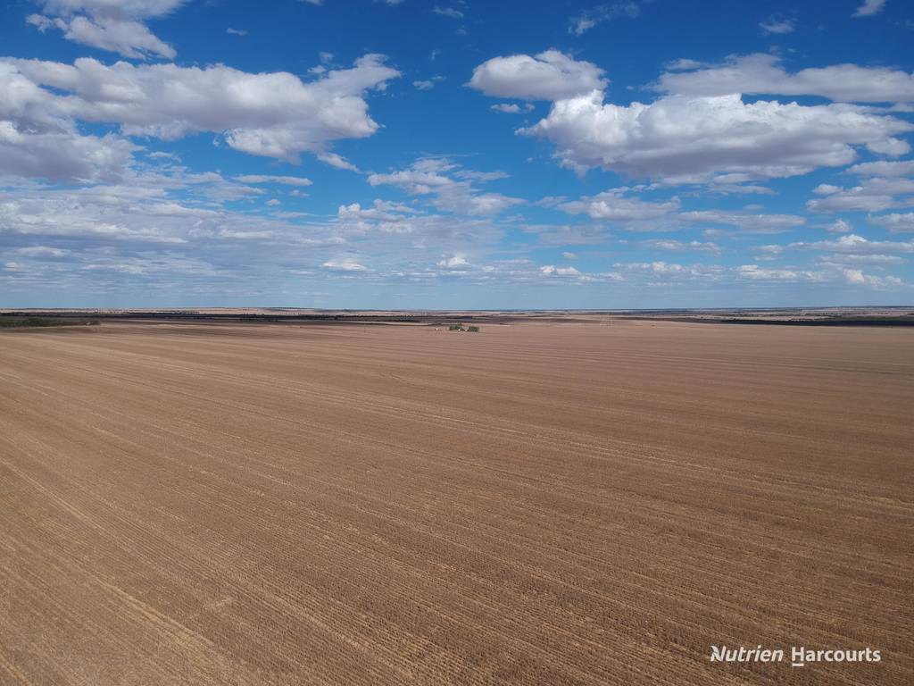 &period; McRoberts Road, Tenindewa WA 6632