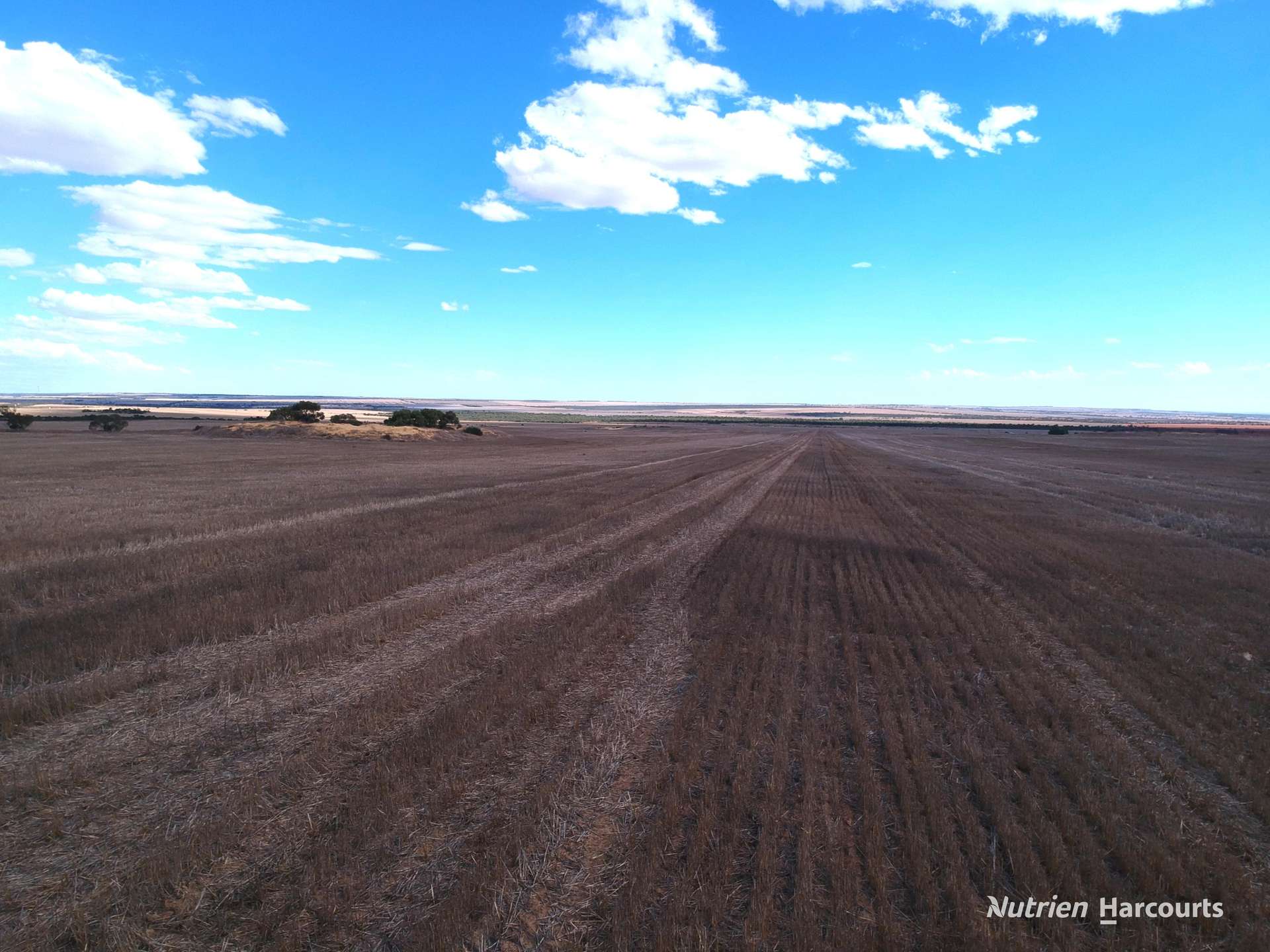 . McRoberts Road, Tenindewa For Sale by Farmbuy.com - image 7