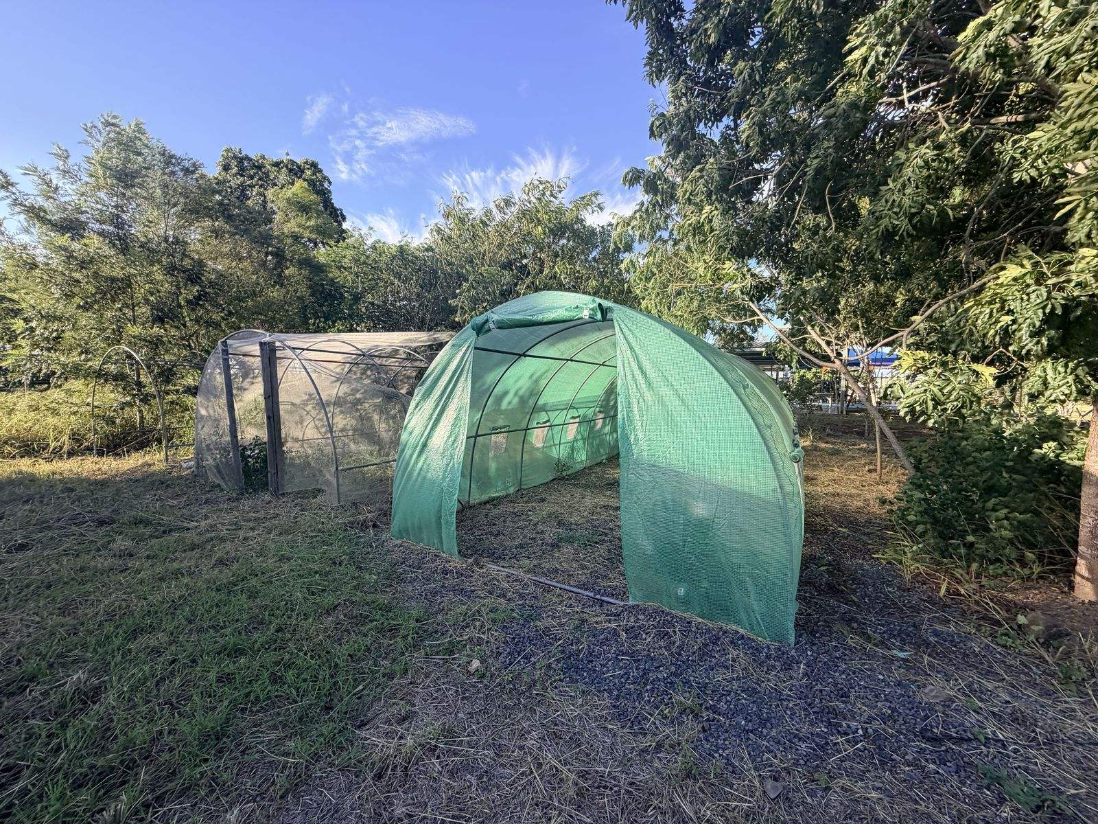 31614 Bruce Highway, Booyal For Sale by Farmbuy.com - image 23