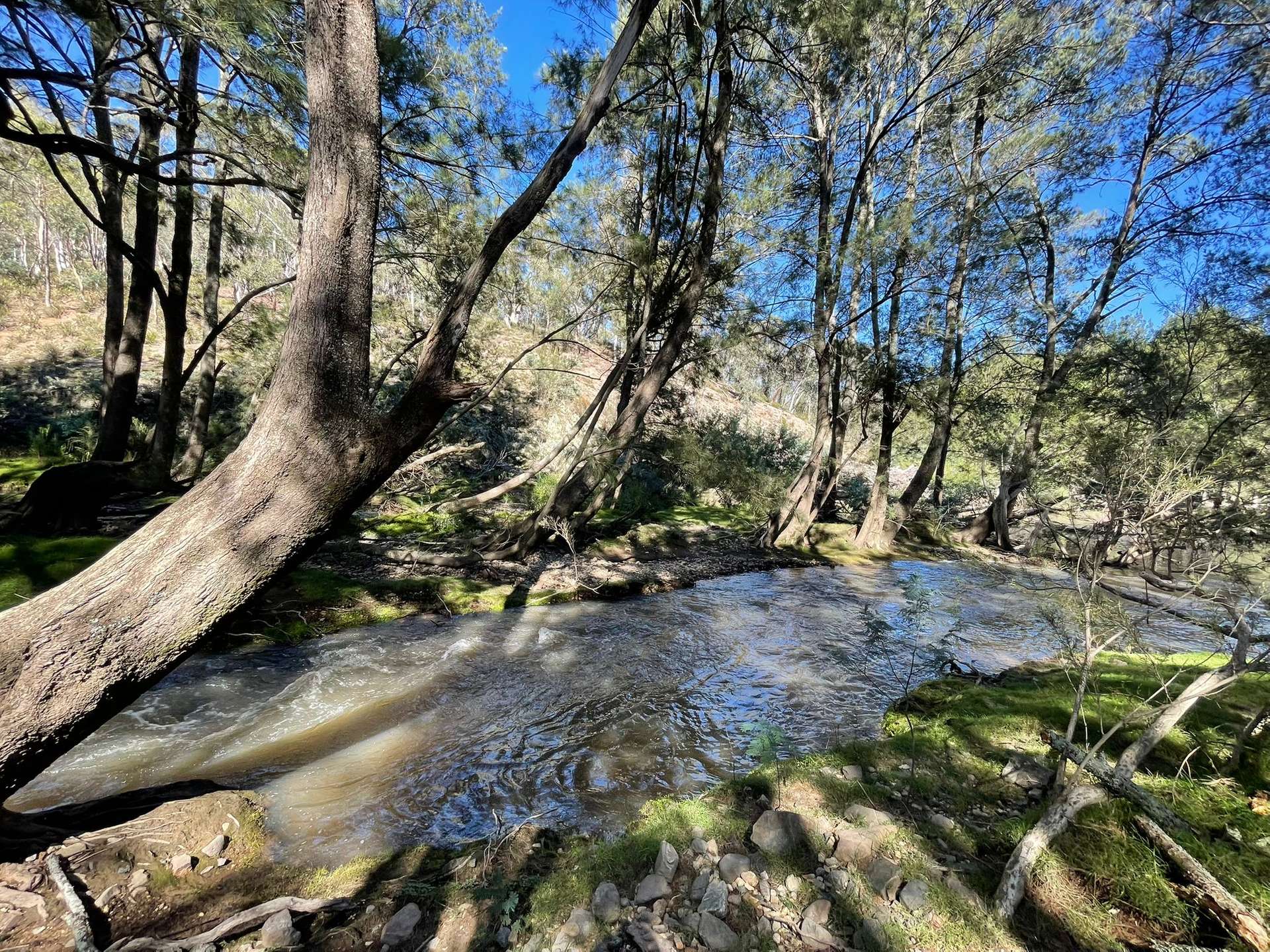 840 The Glen Road, Jerrong For Sale by Farmbuy.com - image 17