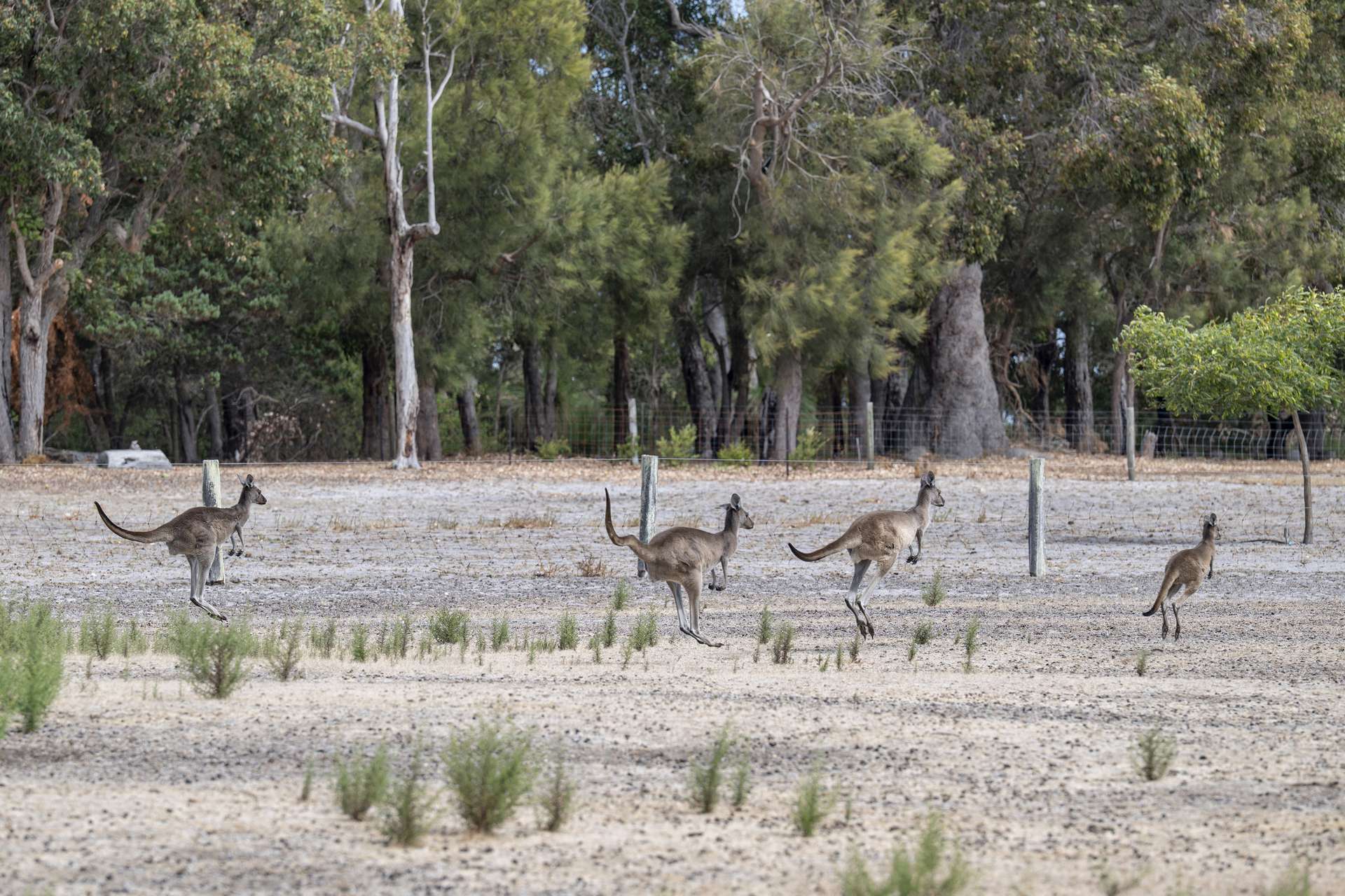 114 Sonning Loop, Yallingup For Sale by Farmbuy.com - image 23
