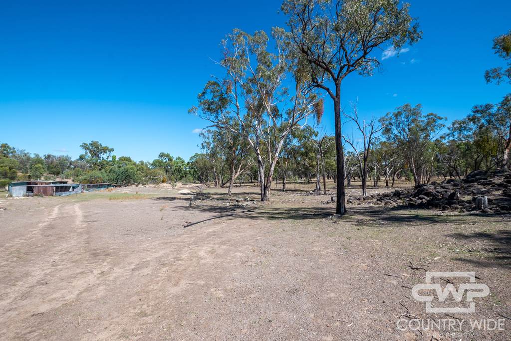 1043 Wallangra Road, Wallangra NSW 2360
