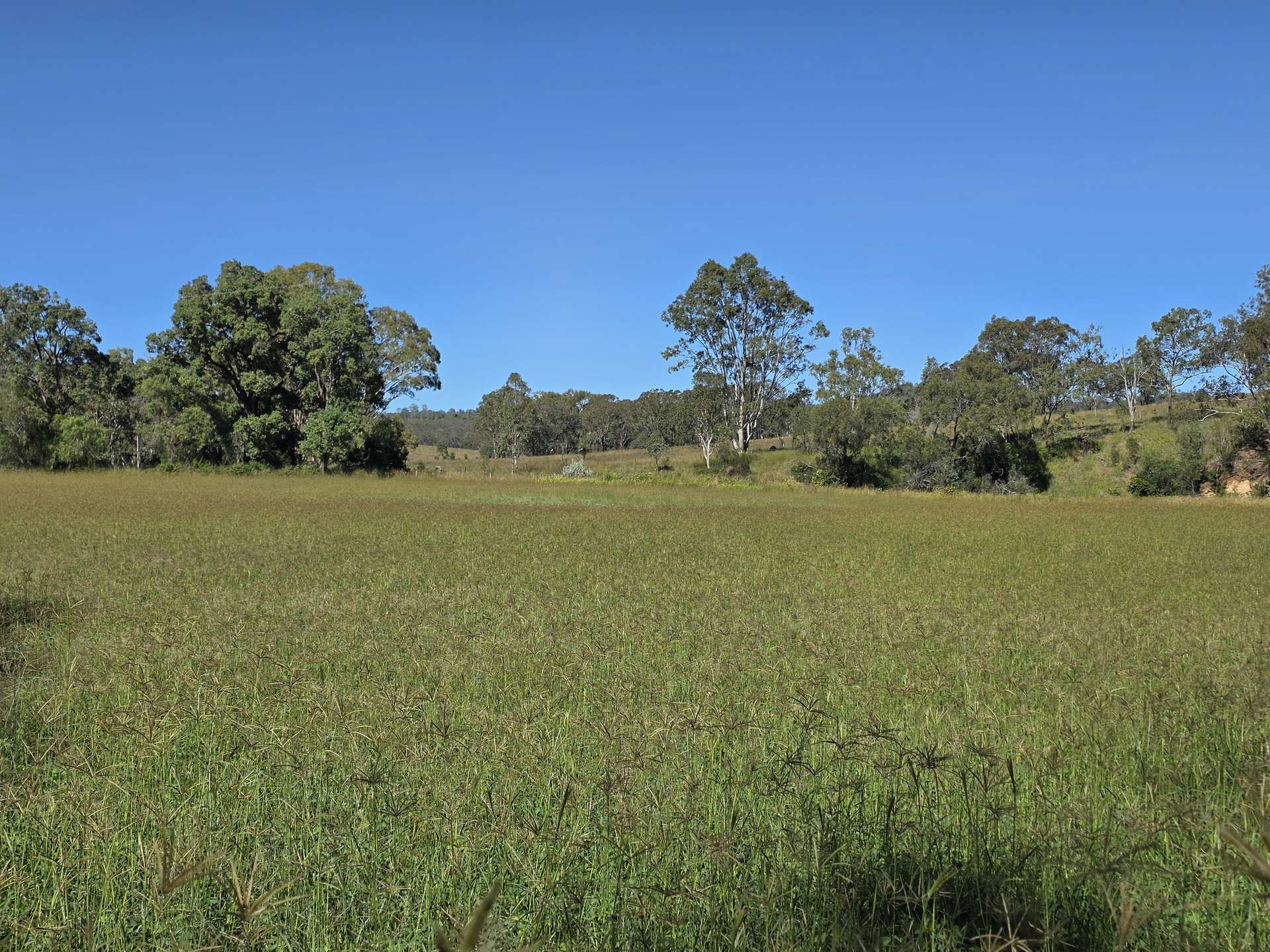 160 Rocky Gully Road, Crows Nest For Sale by Farmbuy.com - image 5