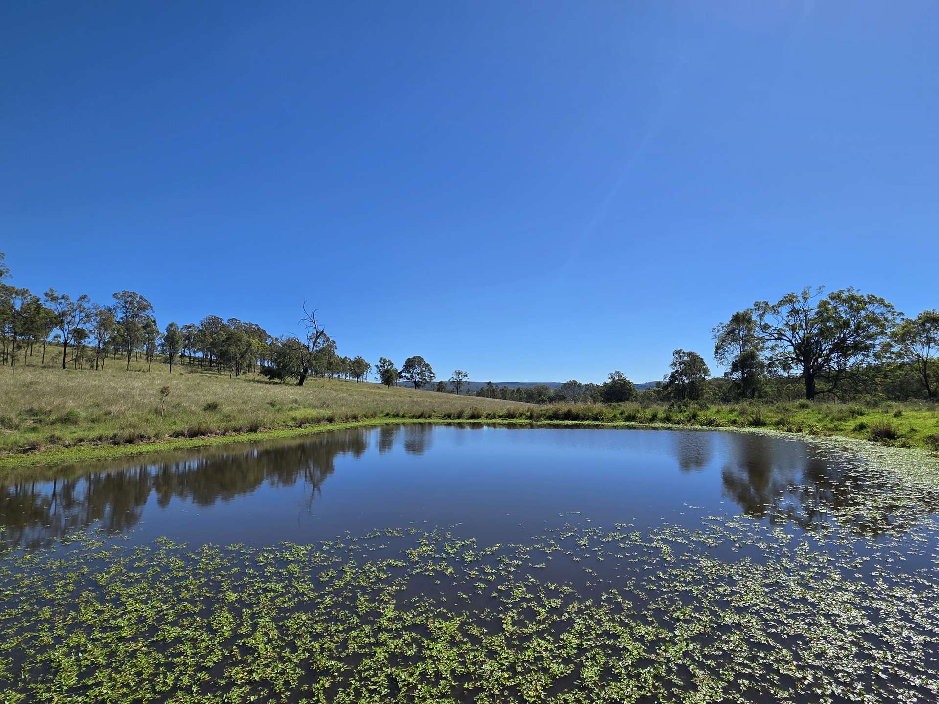 160 Rocky Gully Road, Crows Nest For Sale by Farmbuy.com - image 10