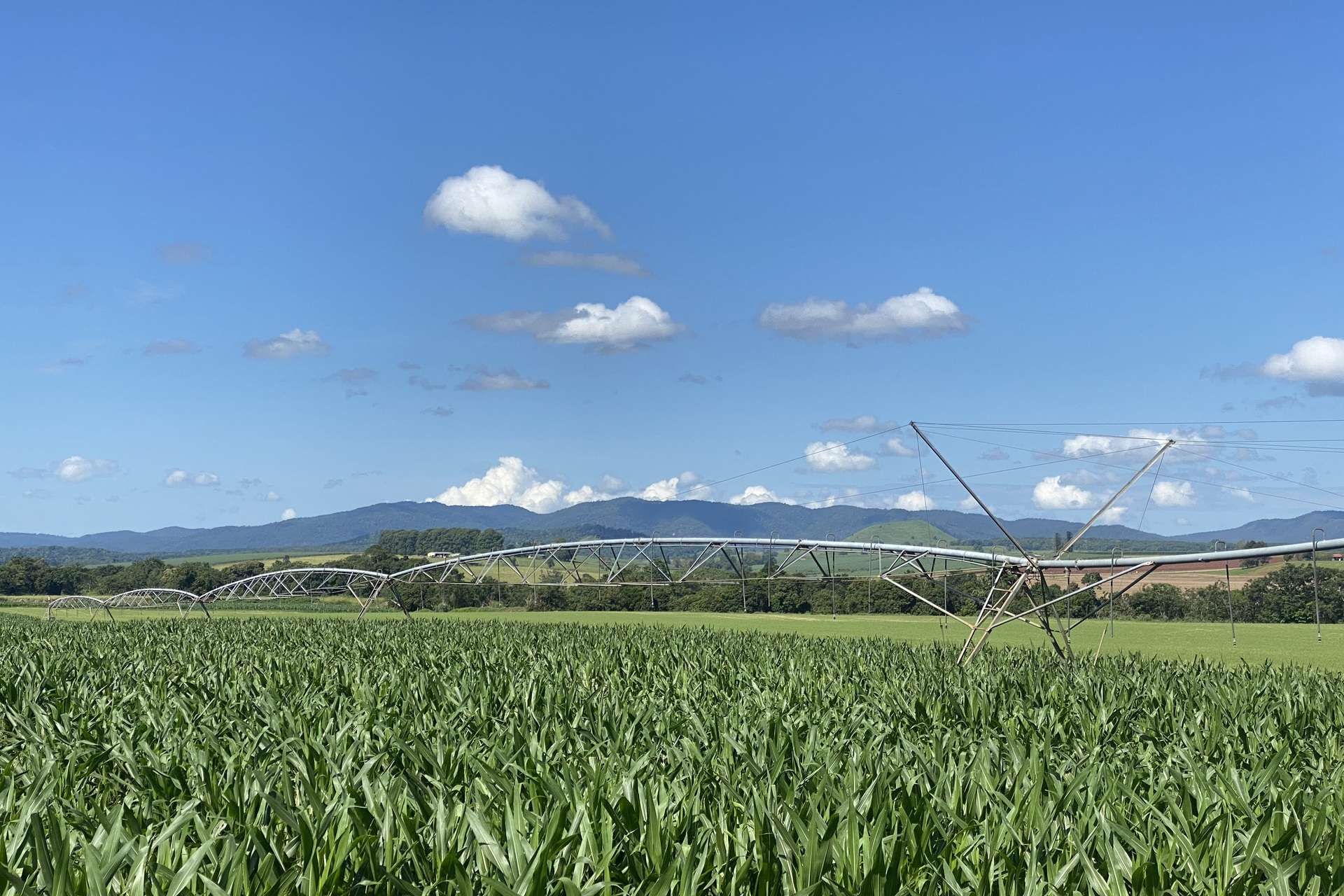 32 McKeown Road, East Barron For Sale by Farmbuy.com - image 13