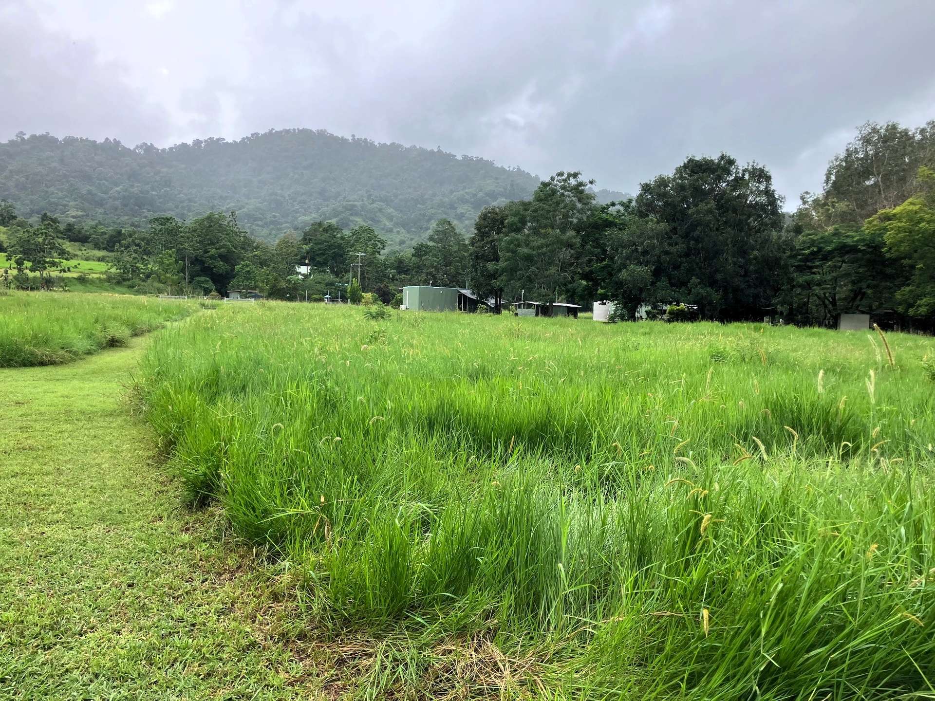 Finch Hatton For Sale by Farmbuy.com - image 13