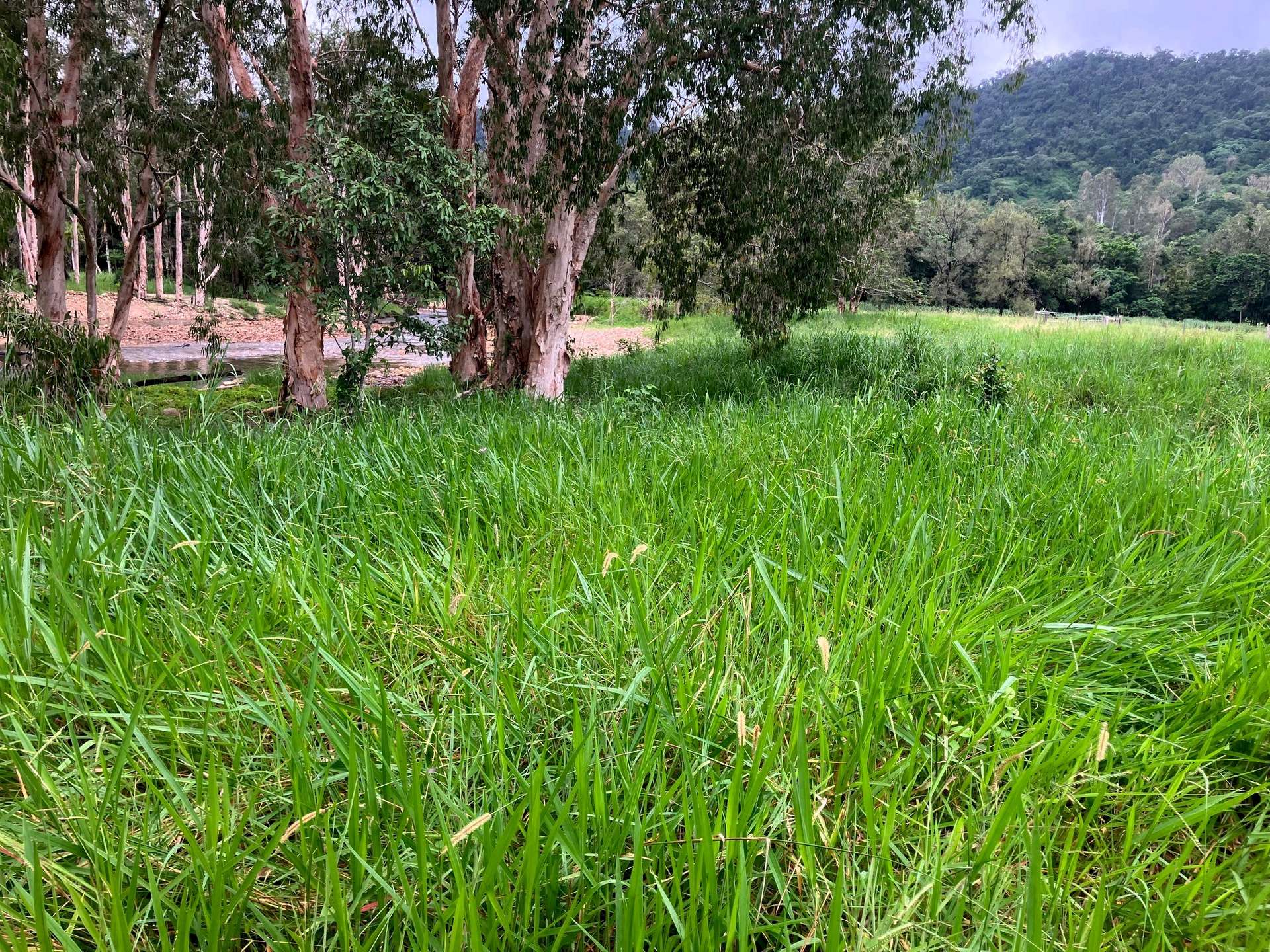 Finch Hatton For Sale by Farmbuy.com - image 23