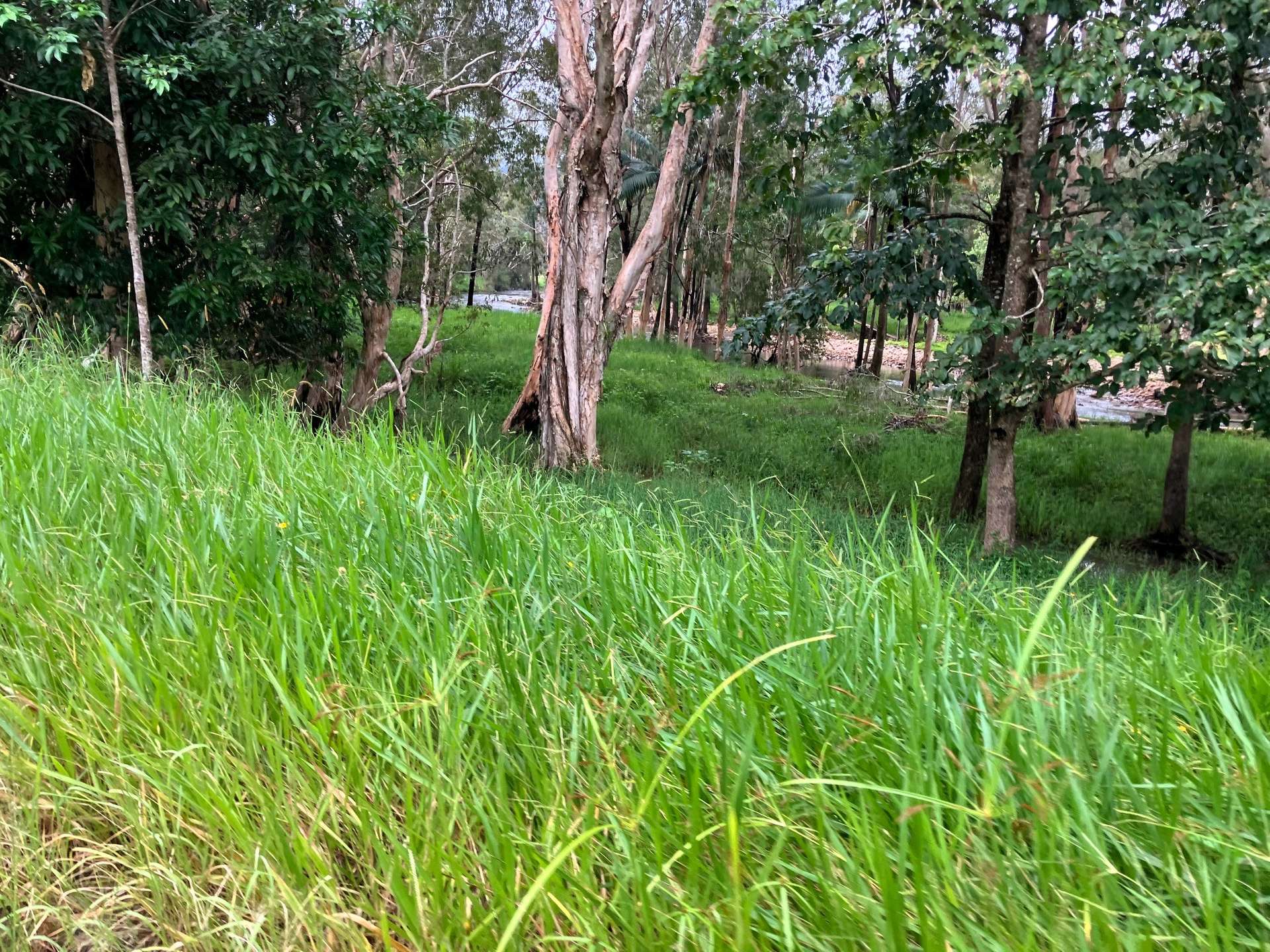 Finch Hatton For Sale by Farmbuy.com - image 24