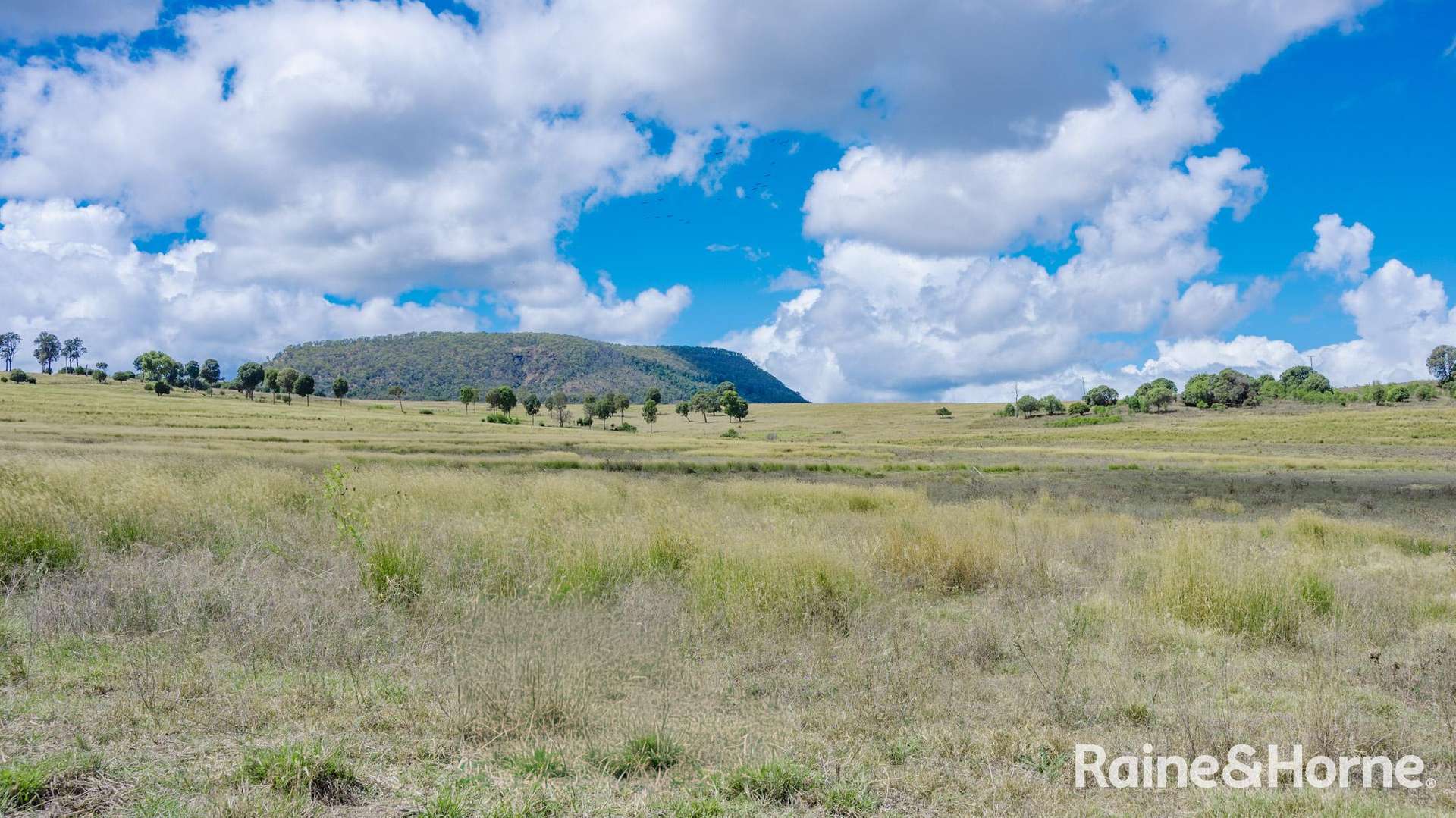 104 Gillespie Road, Freestone For Sale by Farmbuy.com - image 20