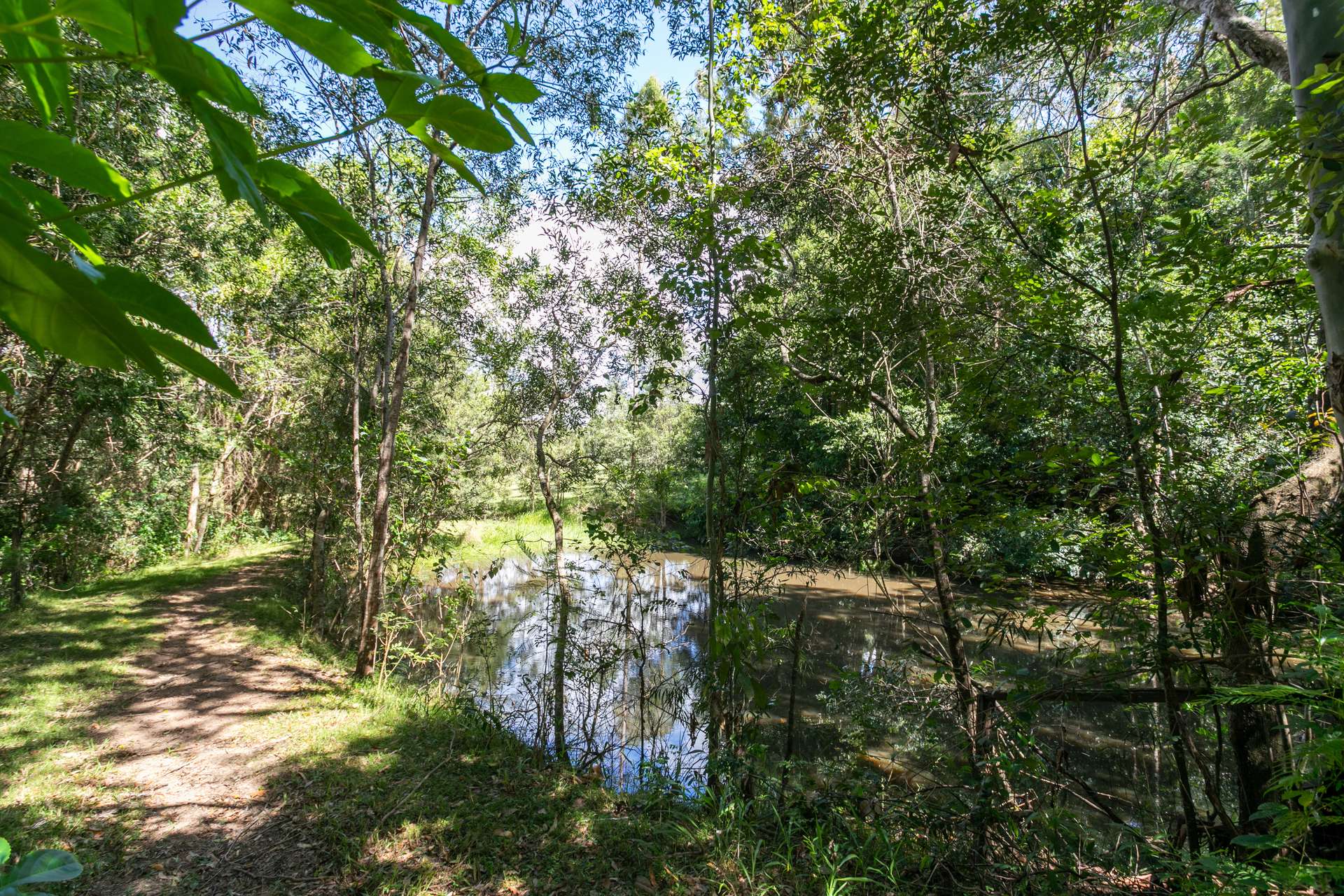 25 Donnellys Road, Ridgewood For Sale by Farmbuy.com - image 26