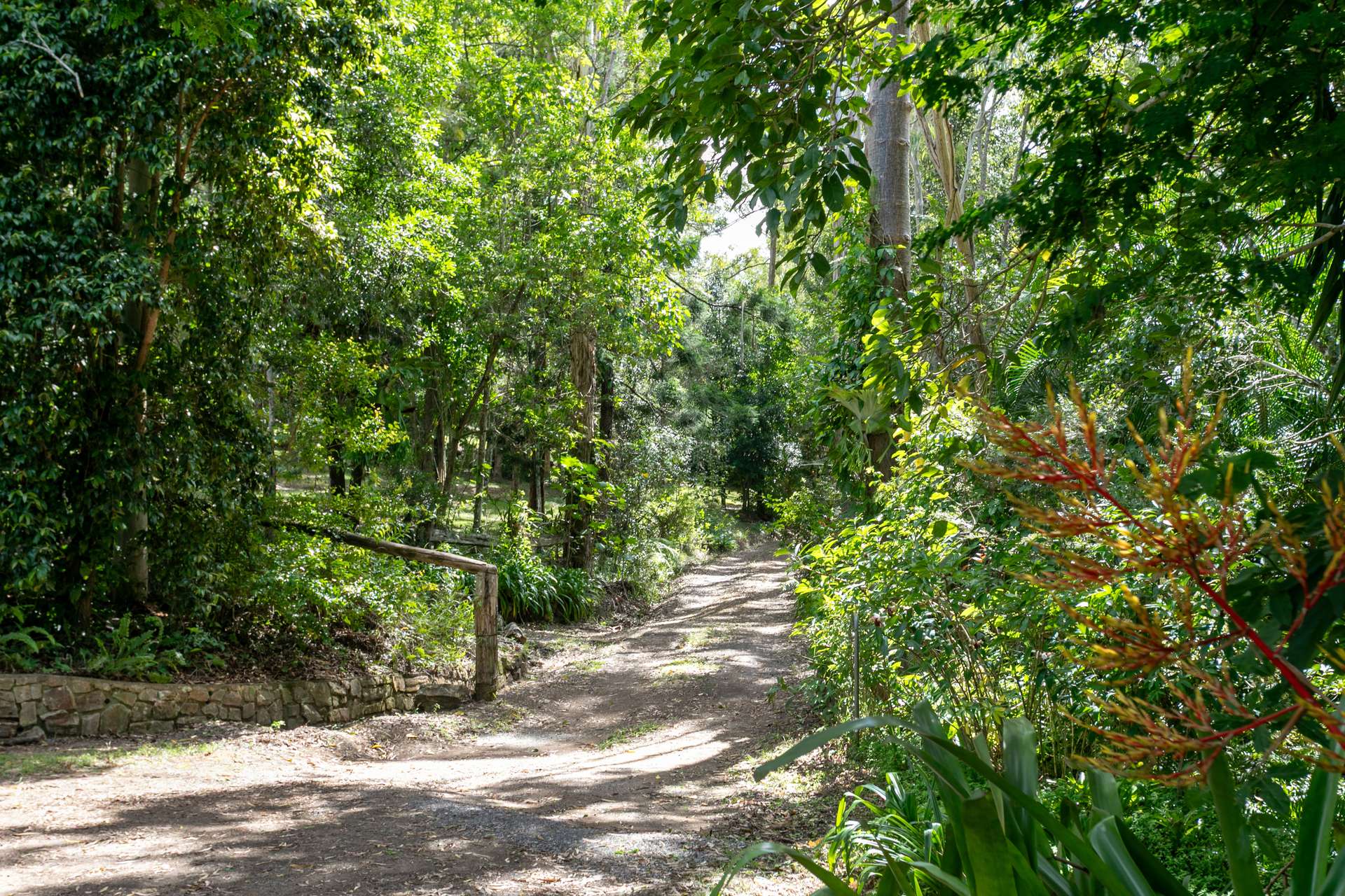 25 Donnellys Road, Ridgewood For Sale by Farmbuy.com - image 30