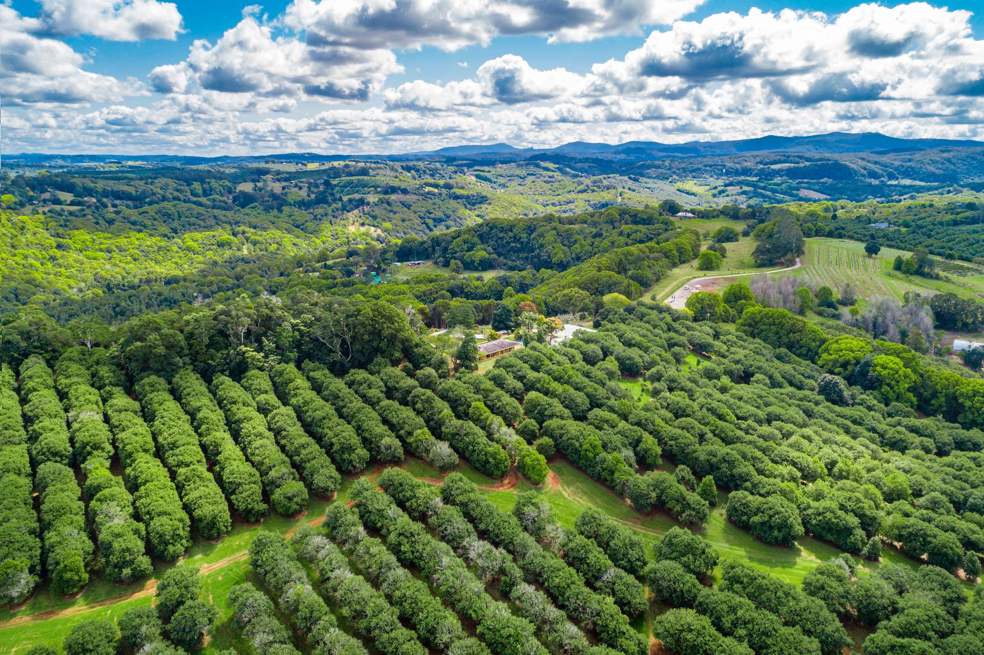 15 Armstrong Road, Rosebank For Sale by Farmbuy.com - image 3