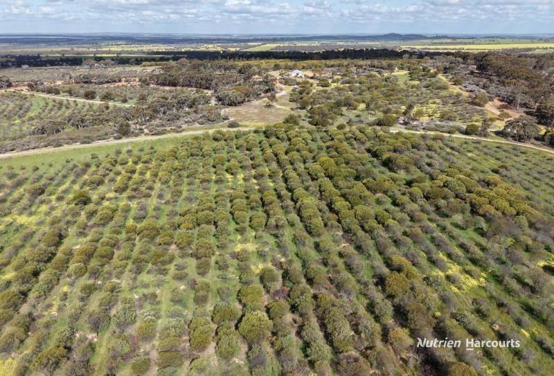 184 Ewert Road, Morbinning For Sale by Farmbuy.com - image 17