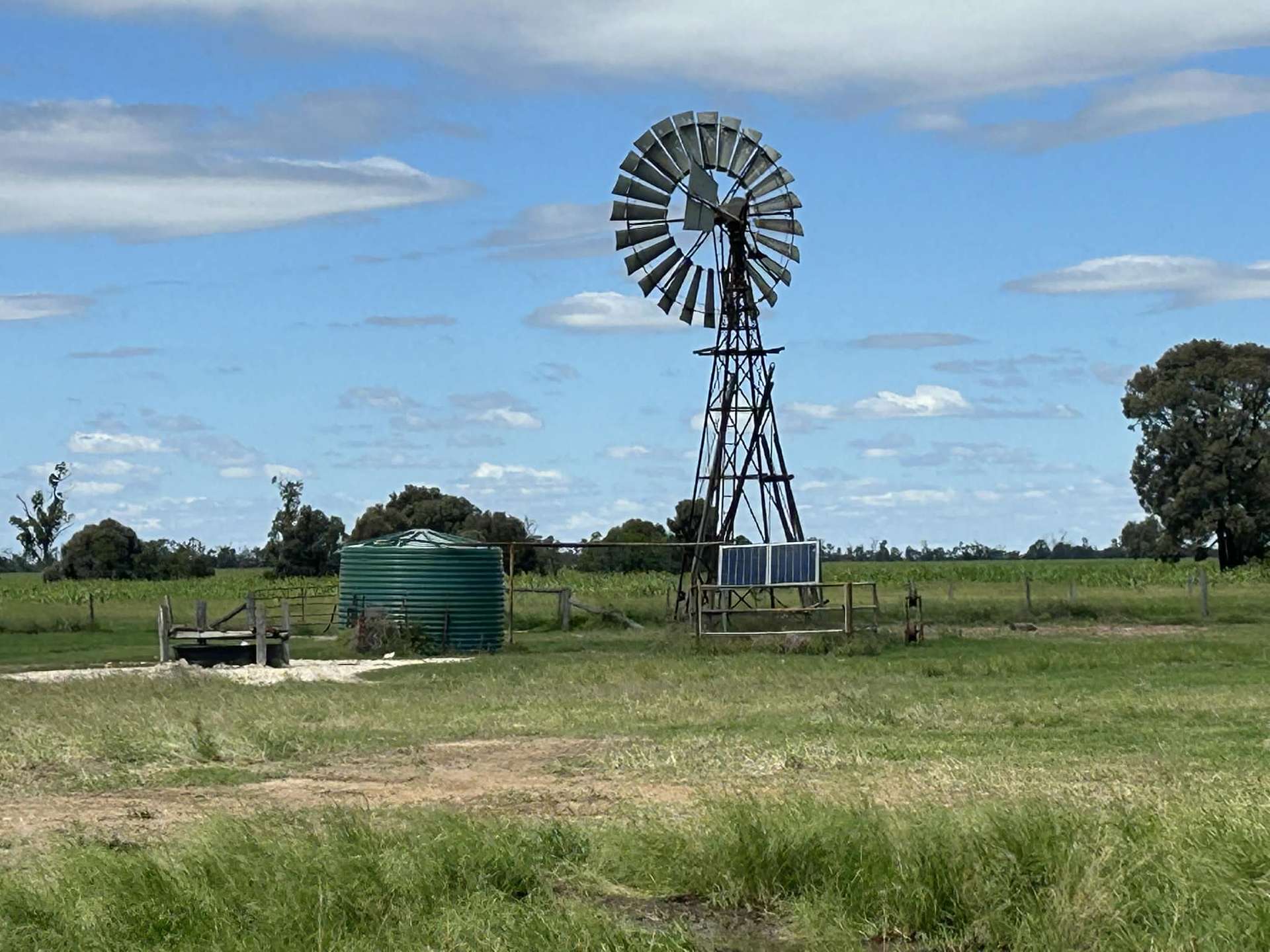 Lot 65 Elerslea Lane, Condamine Auction by Farmbuy.com - image 7