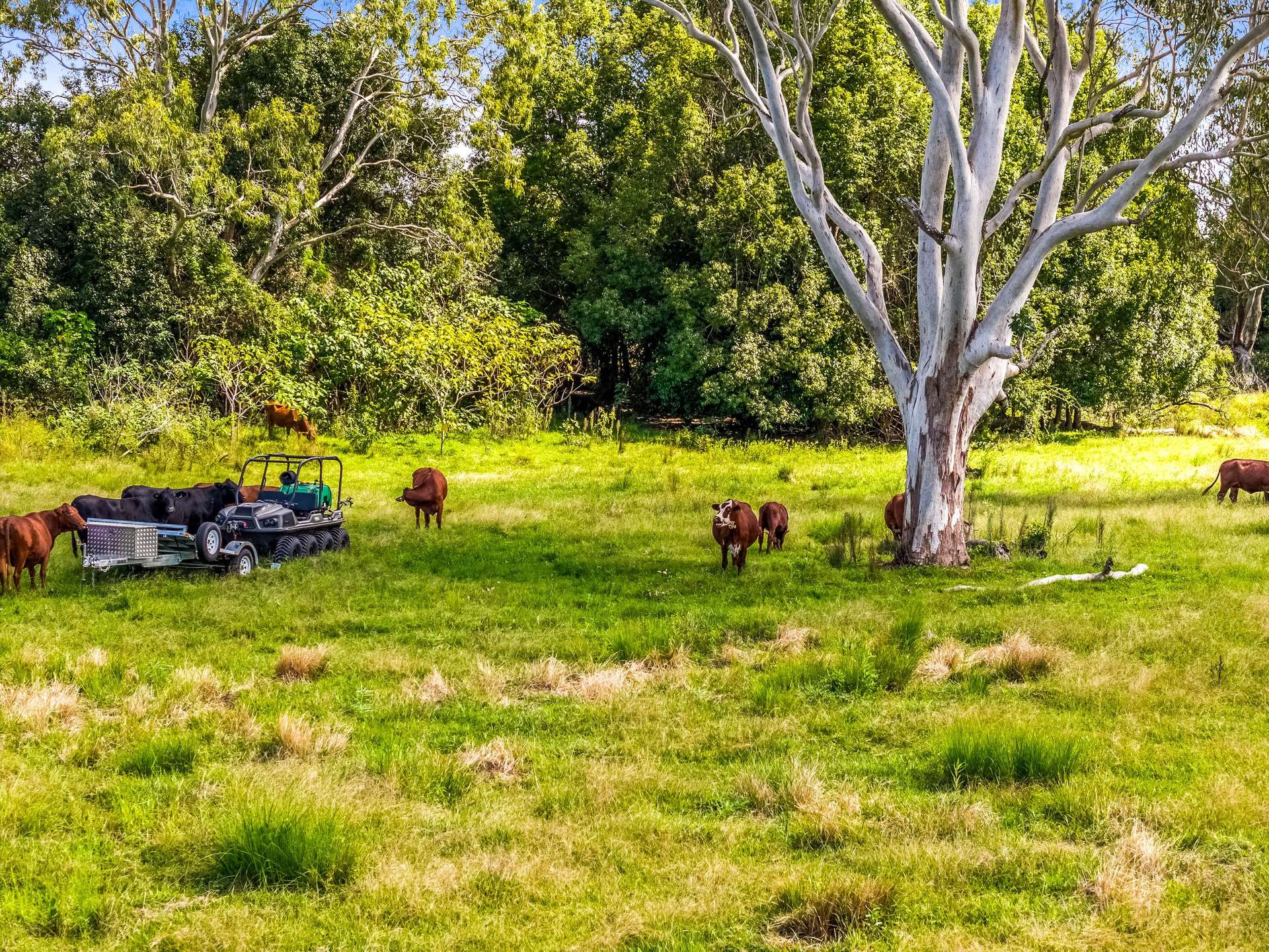 125 River Bank Road, Wyrallah For Sale by Farmbuy.com - image 29