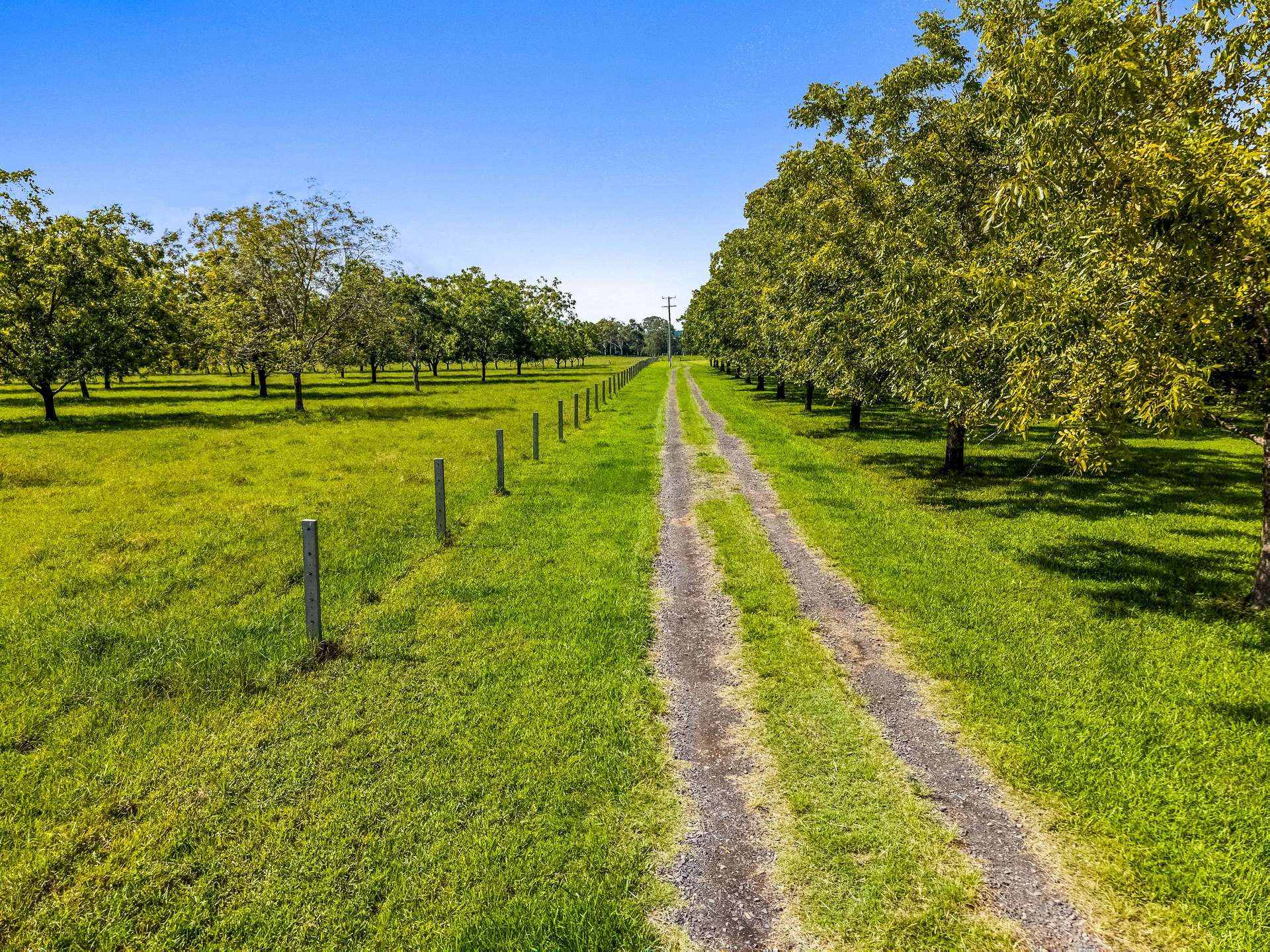 125 River Bank Road, Wyrallah Auction by Farmbuy.com - image 33