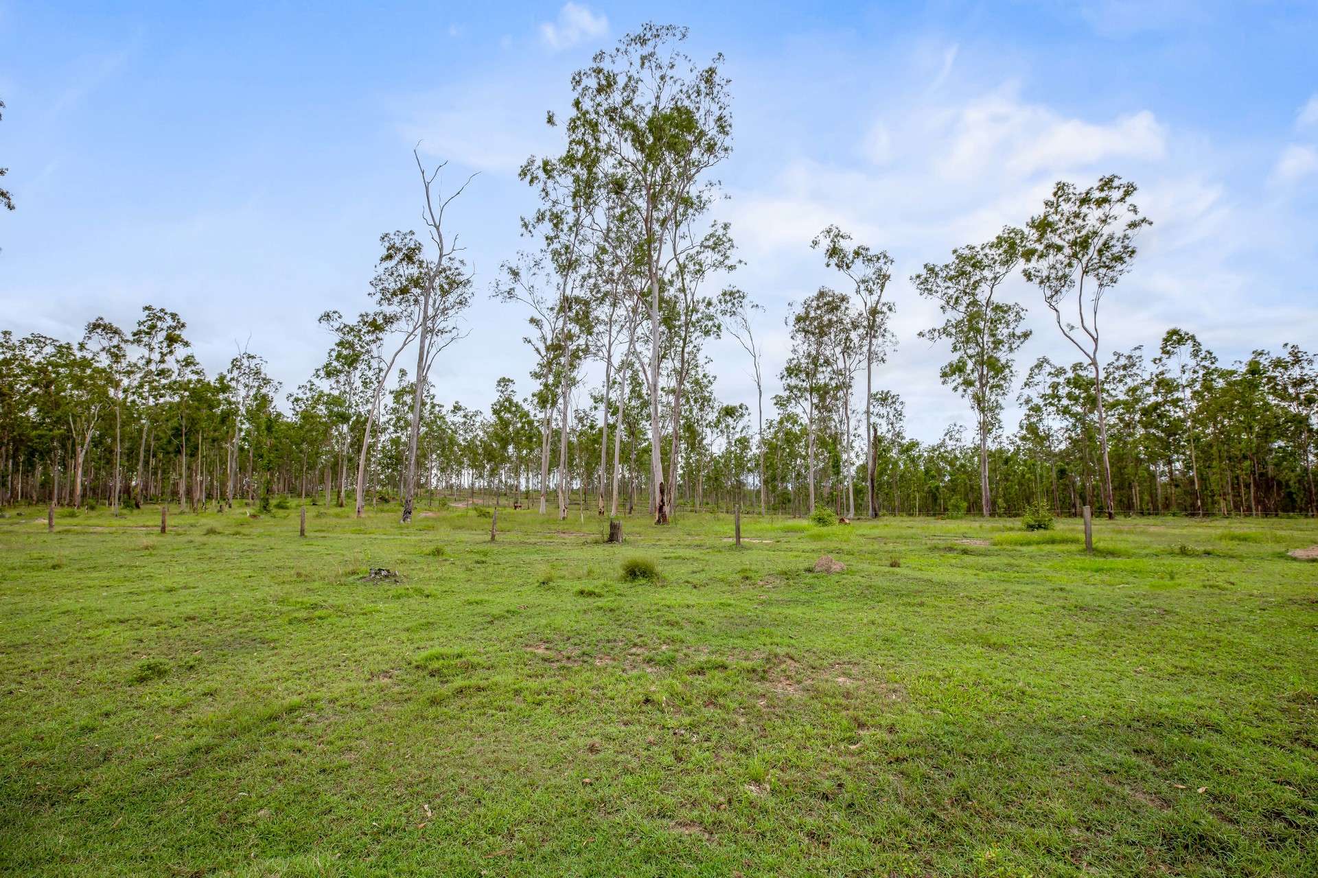 L4 128 Glen Echo Road, Glen Echo For Sale by Farmbuy.com - image 6