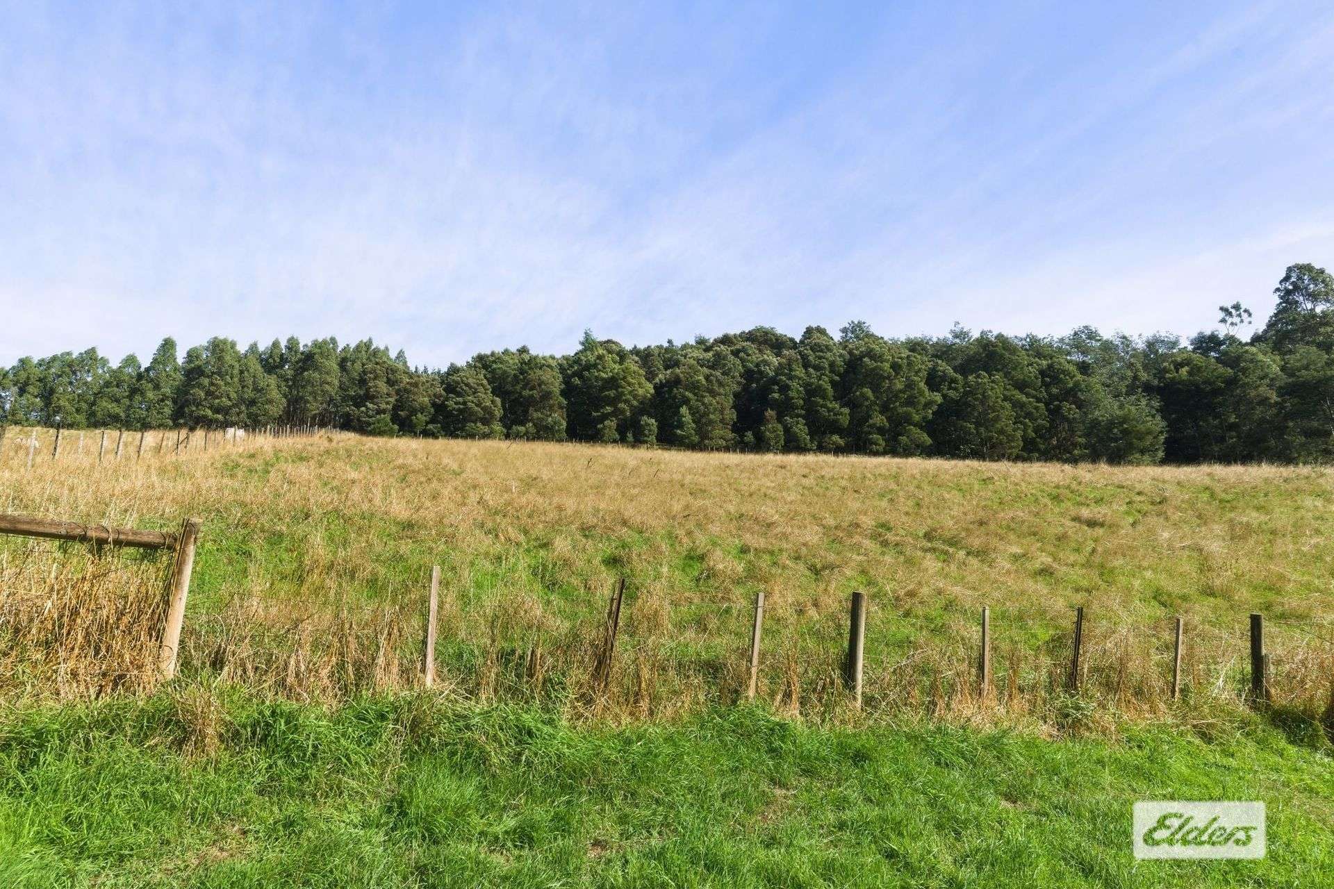 350 Lobster Creek Road, Ulverstone For Sale by Farmbuy.com - image 14