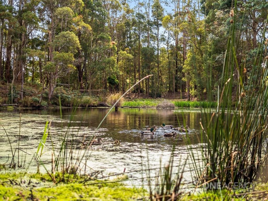 444 Hardmans Road, Mella For Sale by Farmbuy.com - image 19