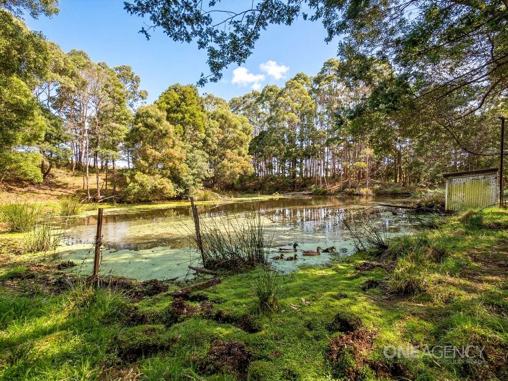 444 Hardmans Road, Mella For Sale by Farmbuy.com - image 17