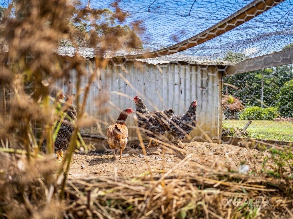 444 Hardmans Road, Mella For Sale by Farmbuy.com - image 32