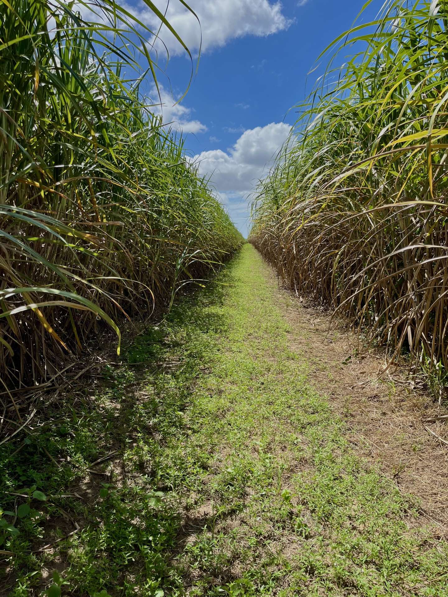 174 Fiveways Road, Brandon For Sale by Farmbuy.com - image 21