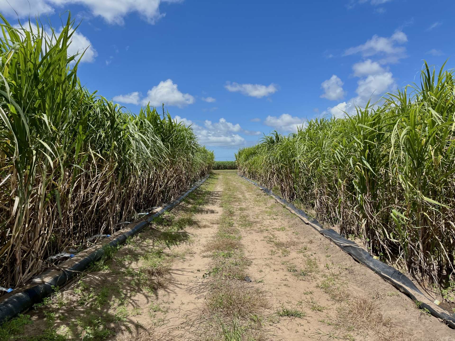 174 Fiveways Road, Brandon For Sale by Farmbuy.com - image 20