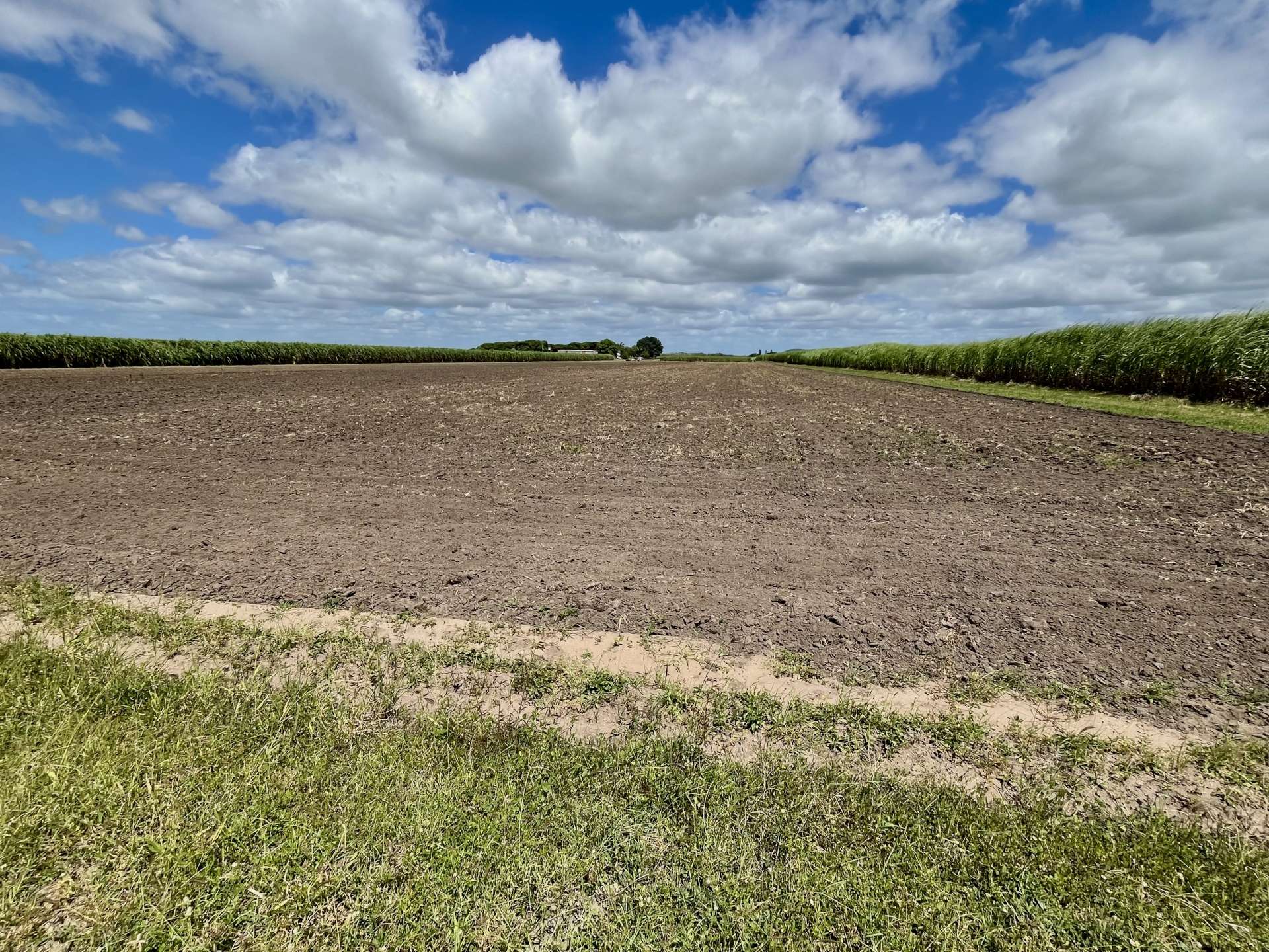 174 Fiveways Road, Brandon For Sale by Farmbuy.com - image 20