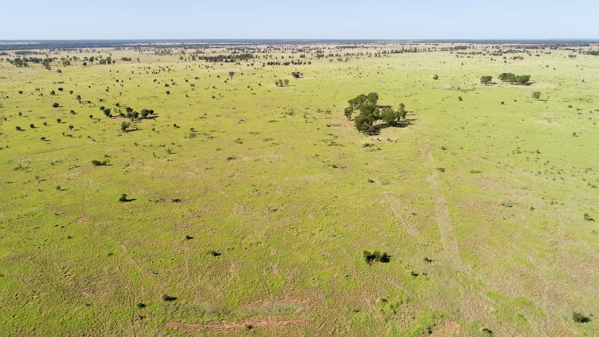 'Edenhope' 615 Barracks Road, Roma For Sale by Farmbuy.com - image 9