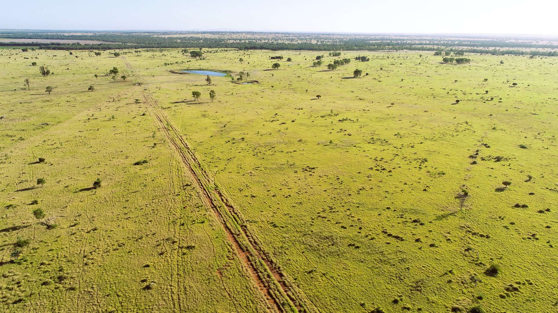 'Edenhope' 615 Barracks Road, Roma For Sale by Farmbuy.com - image 1