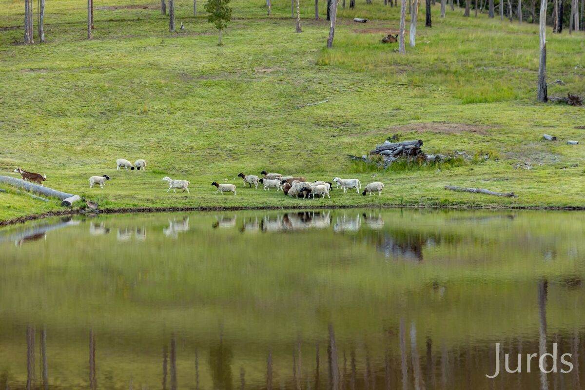 155 Q9 Lane, Ellalong For Sale by Farmbuy.com - image 14