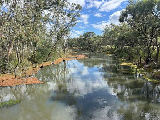 71 Halls Road, Leitchville VIC 3567