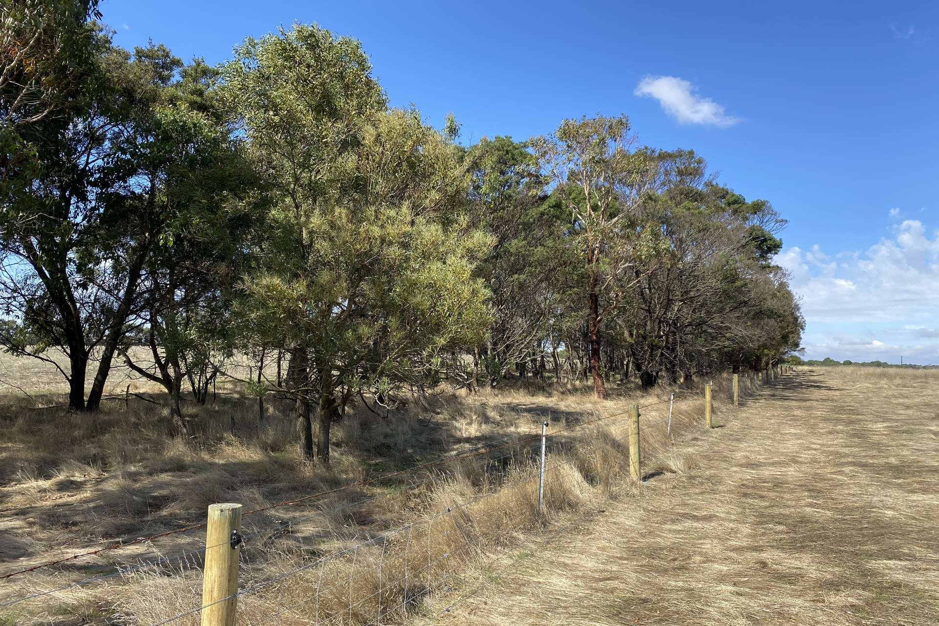 1621 Mount Napier Road, Gazette For Sale by Farmbuy.com - image 24