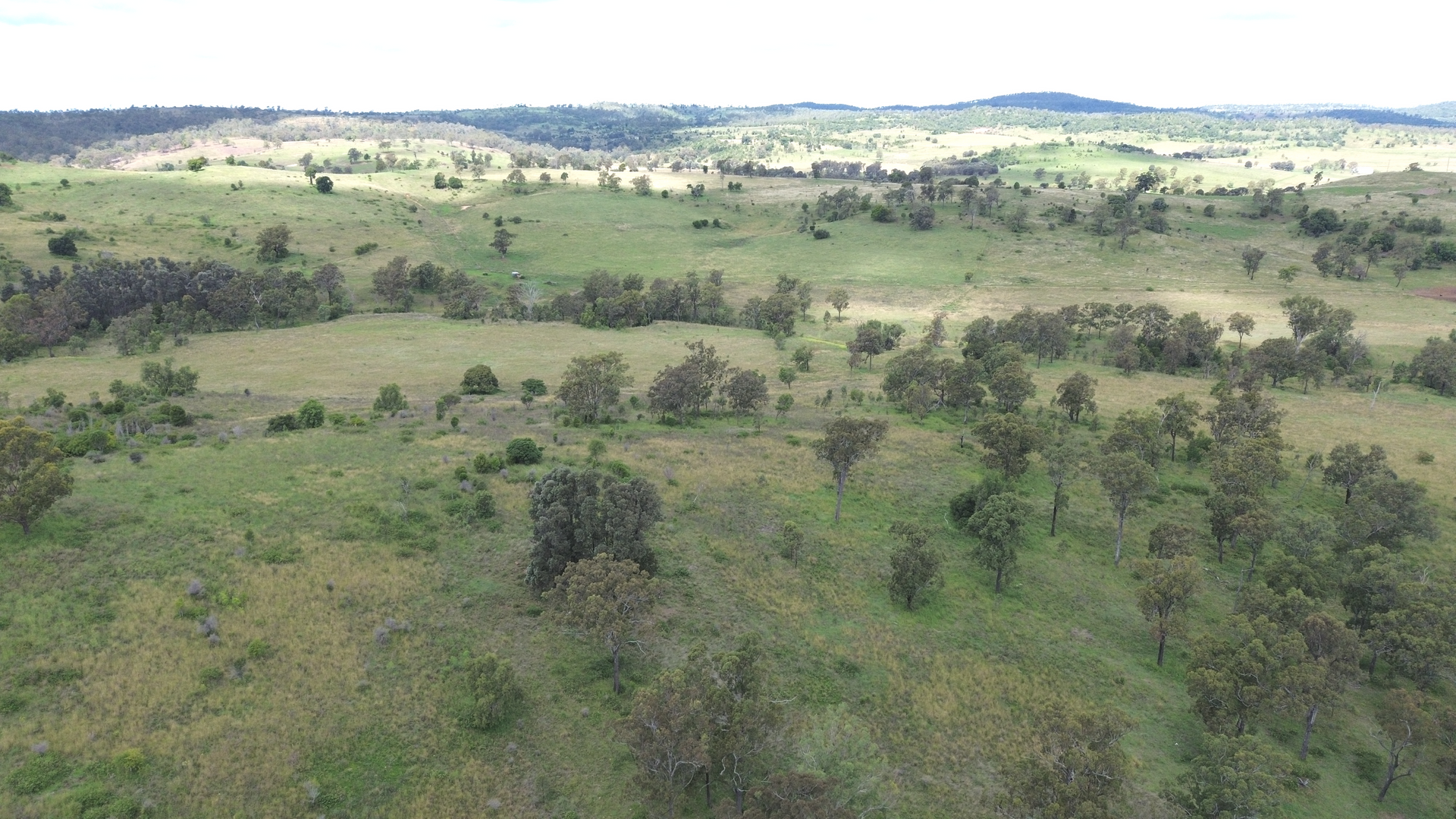 492 North Maclagan Road, Maclagan For Sale by Farmbuy.com - image 22