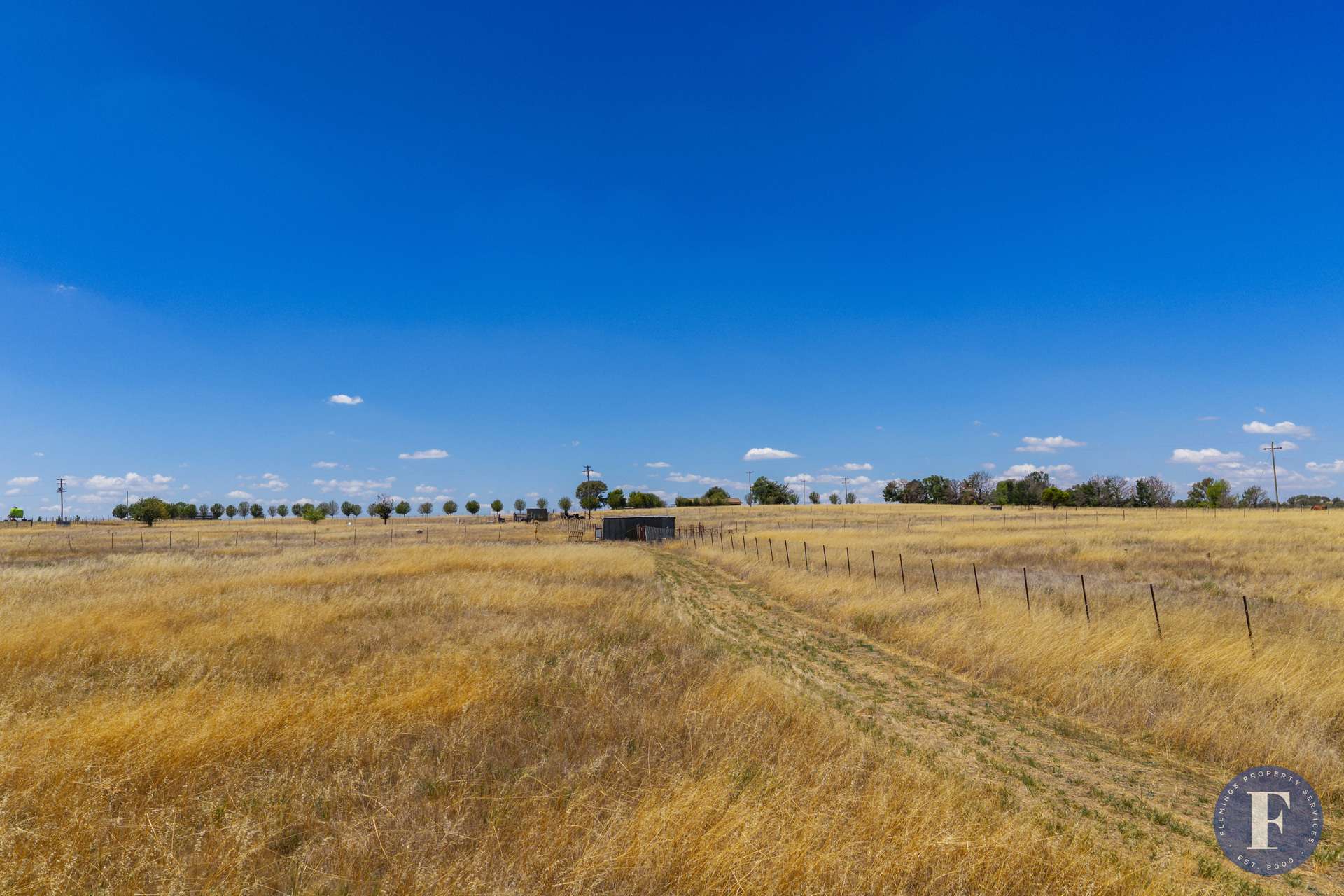 Saleyards Road, Harden For Sale by Farmbuy.com - image 8