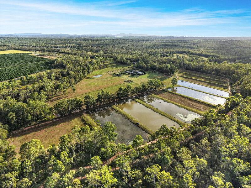 409 Webbs Road, Abington For Sale by Farmbuy.com - image 31