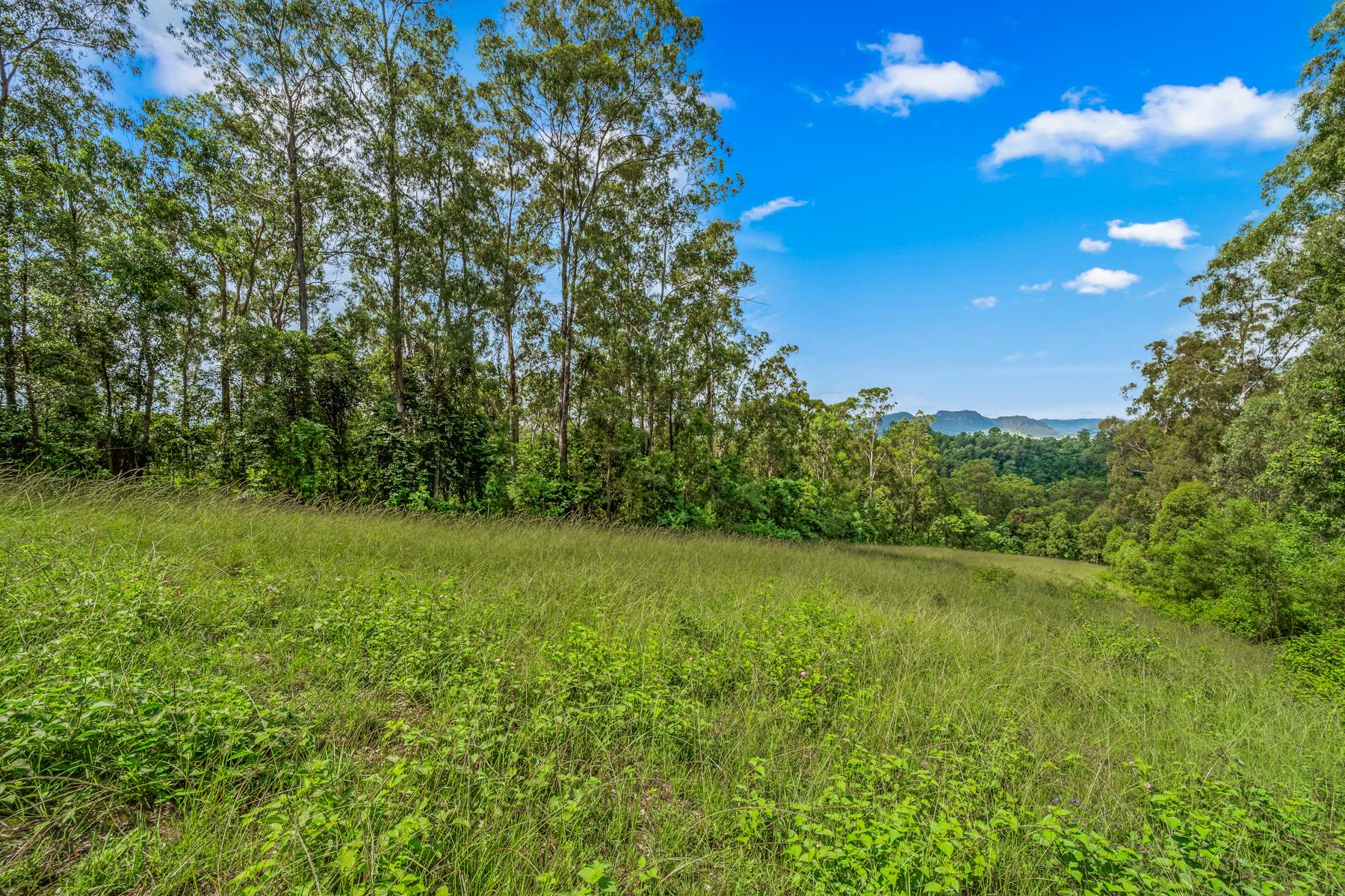 664 Scone Road, Copeland Via, Gloucester For Sale by Farmbuy.com - image 26