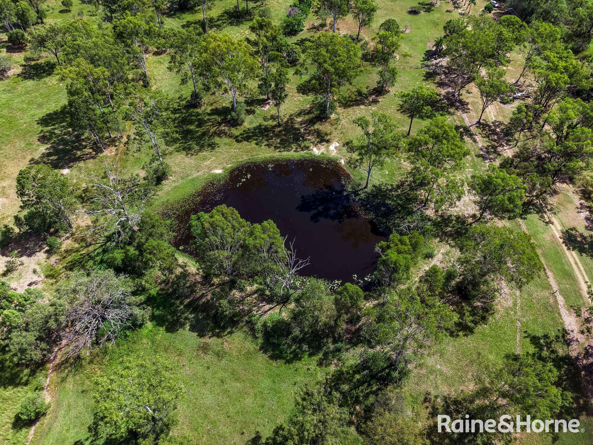 1170 Tableland Road, Horse Camp For Sale by Farmbuy.com - image 28