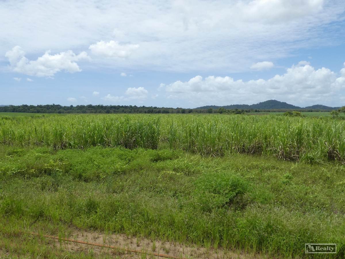 41 Bramston Beach Road, Eubenangee For Sale by Farmbuy.com - image 2