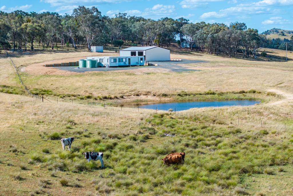 3705 Frogmore Road, Hovells Creek NSW 2794