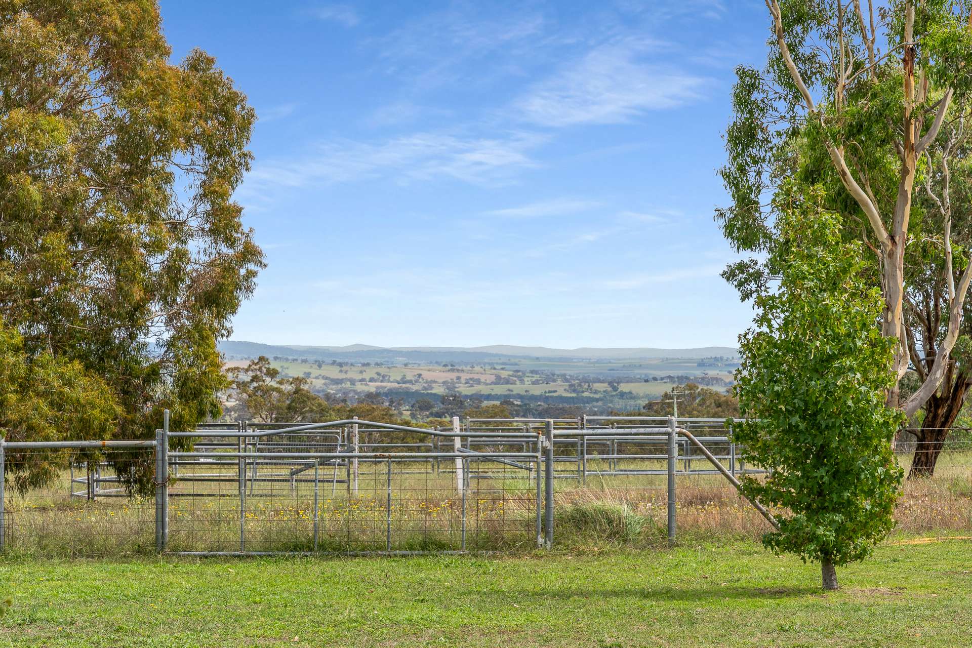 1289 Carlwood Road, O'Connell Auction by Farmbuy.com - image 20