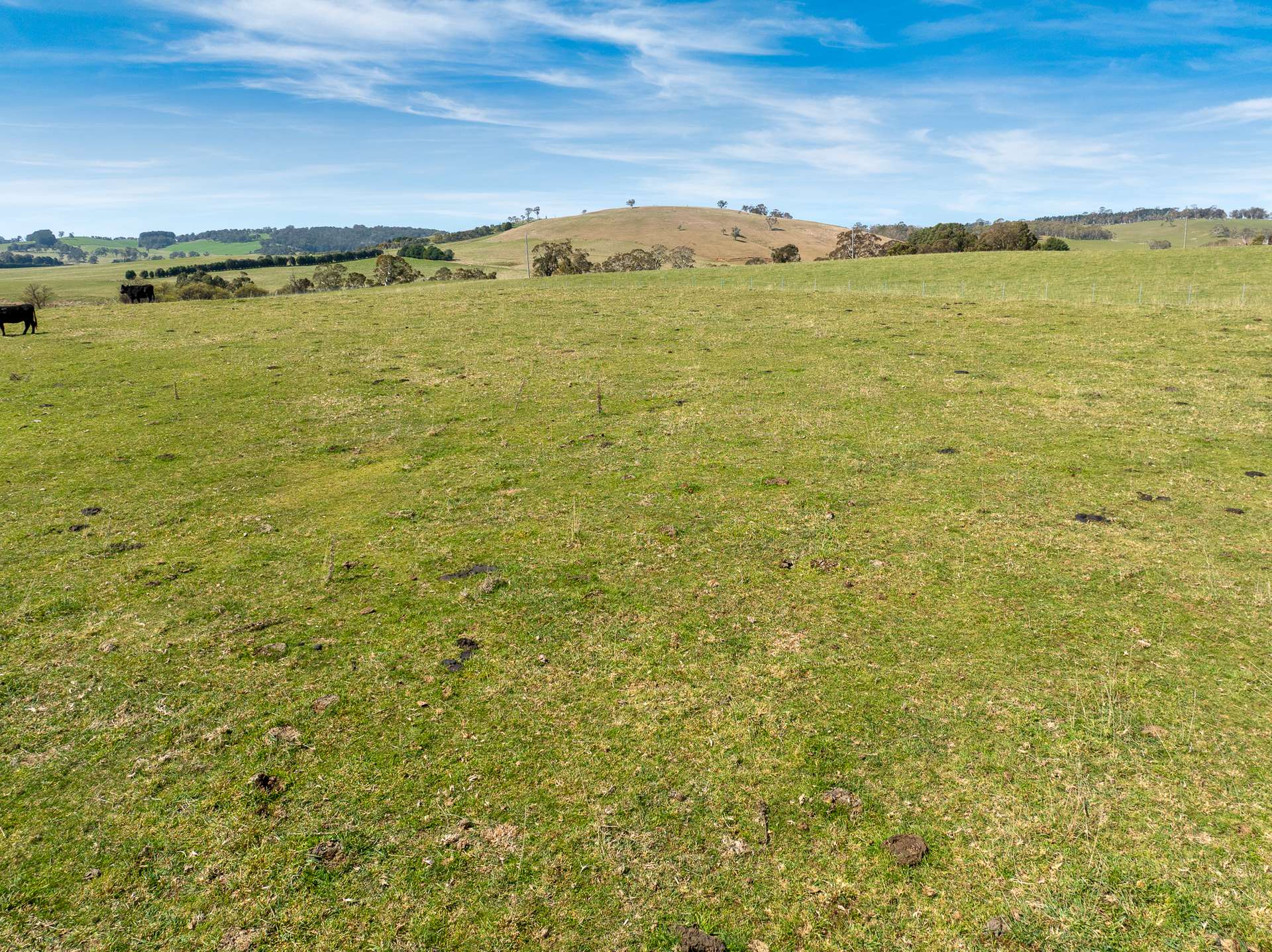 Lot 1, 1660 Edith Road, Oberon For Sale by Farmbuy.com - image 13