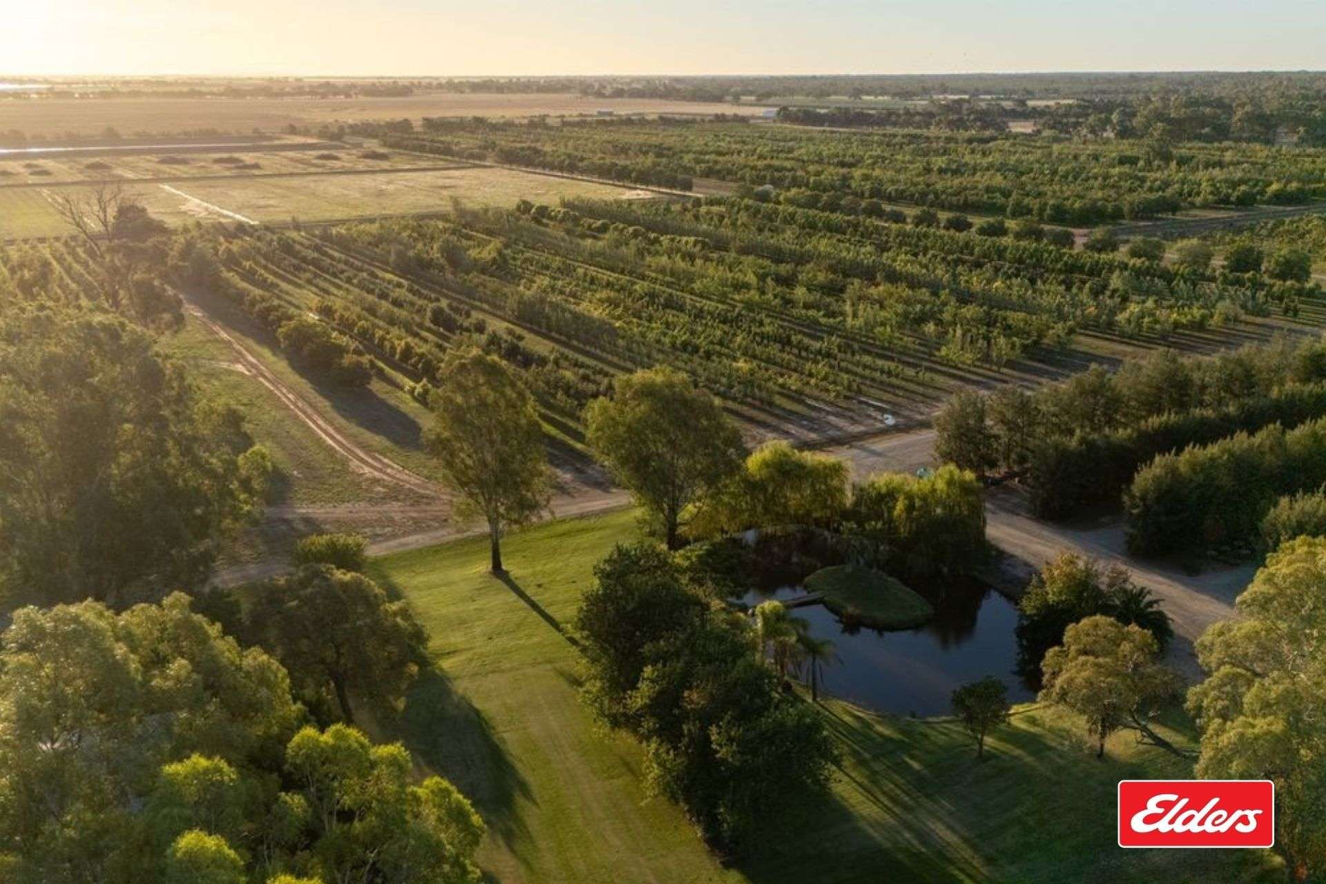 124 Farley Road, Echuca For Sale by Farmbuy.com - image 1