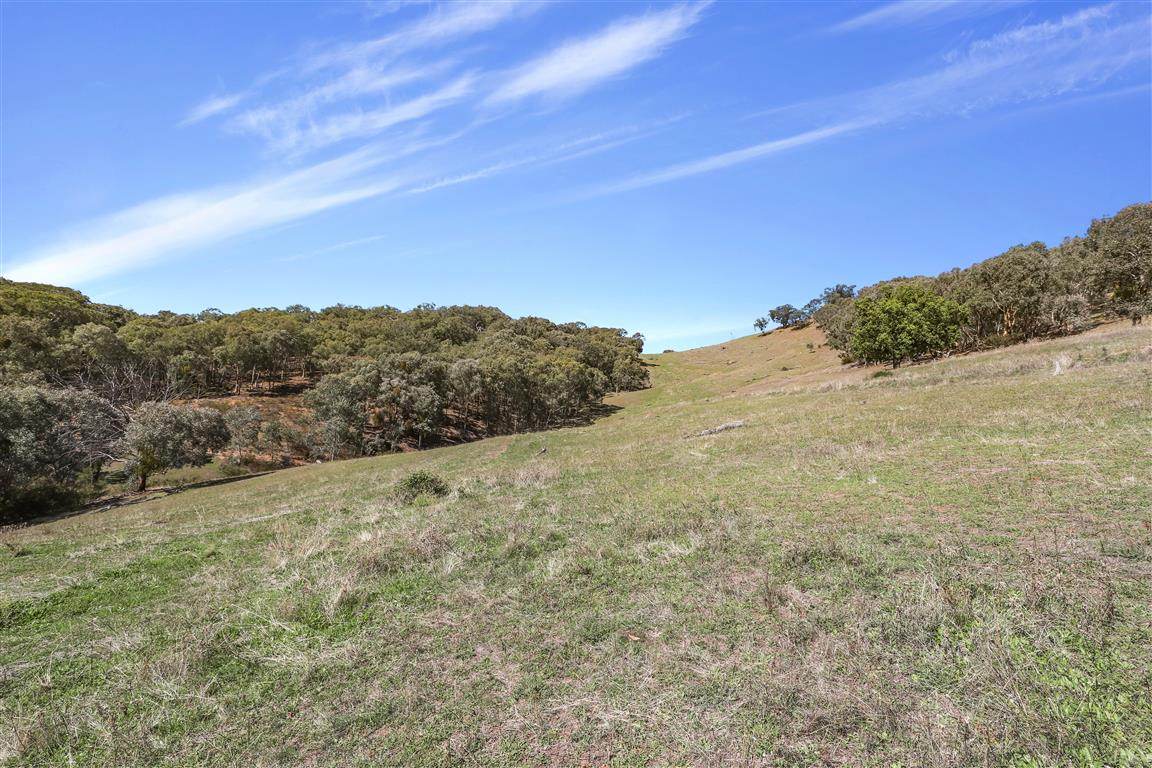 Part 1169 Grahamstown Road, Adelong For Sale by Farmbuy.com - image 12