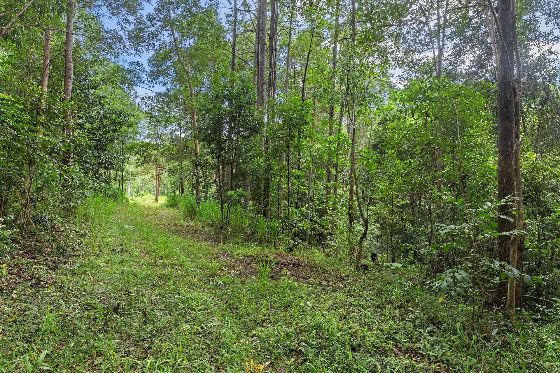 Wolvi For Sale by Farmbuy.com - image 6