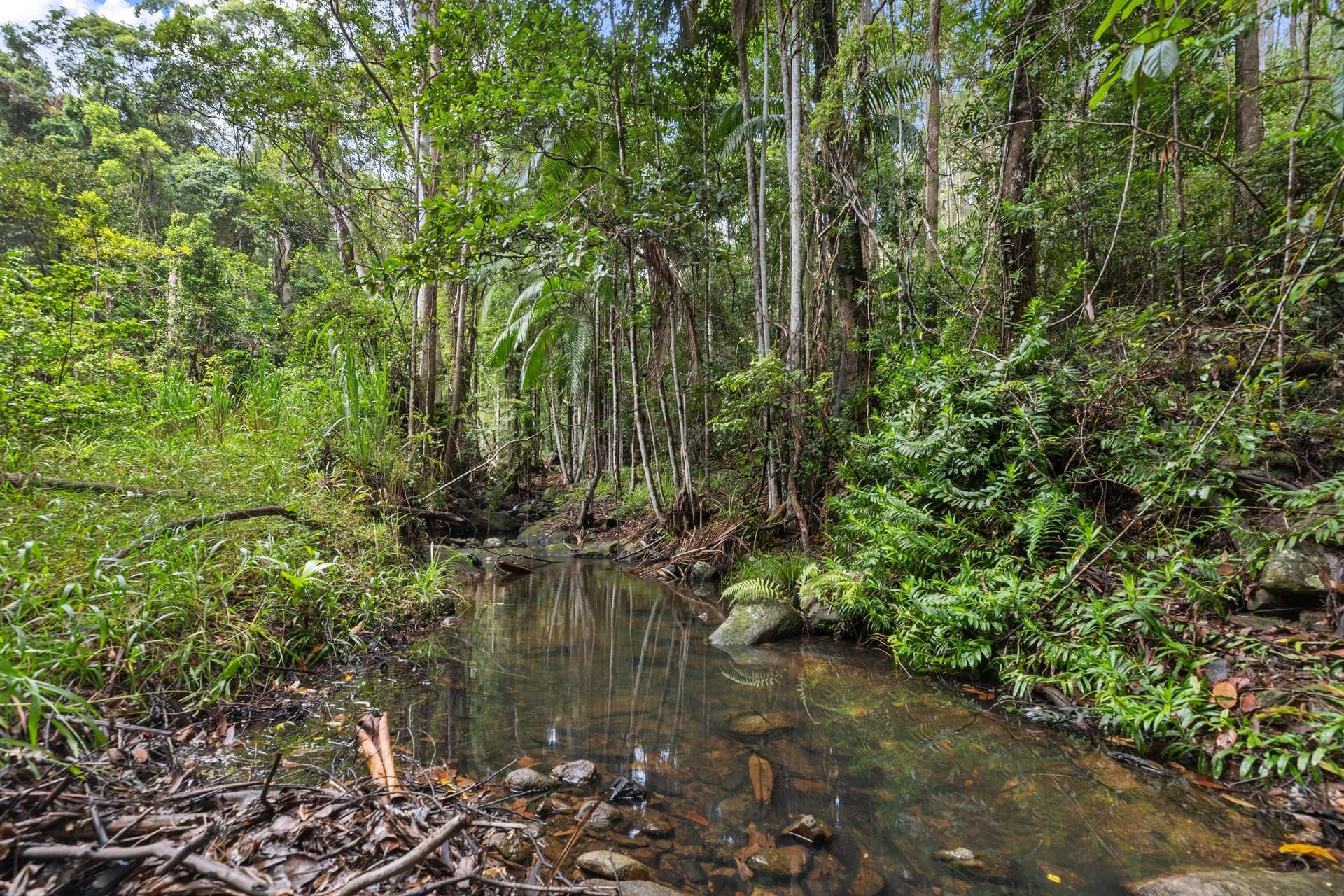 Wolvi For Sale by Farmbuy.com - image 5