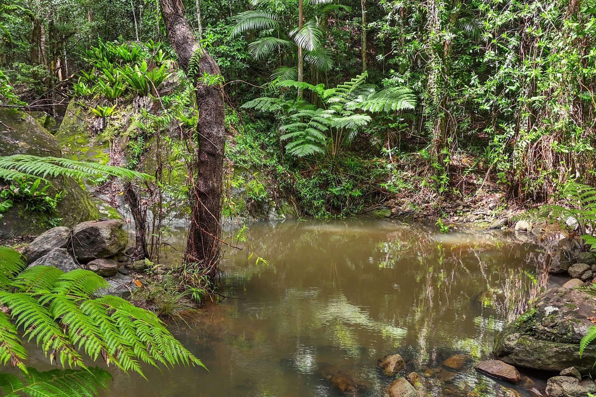 Wolvi For Sale by Farmbuy.com - image 16