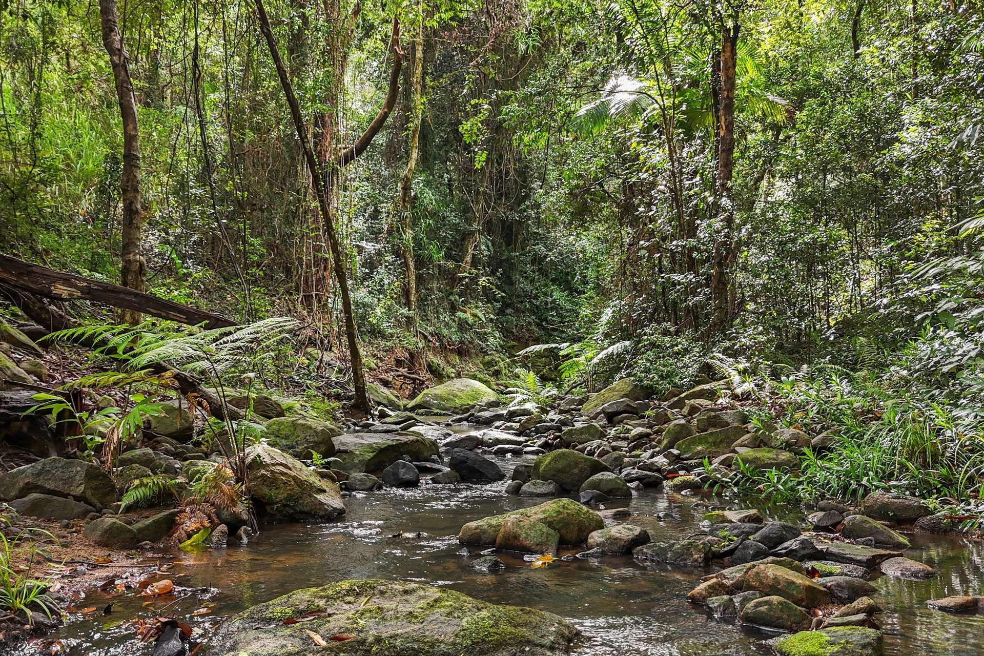 Wolvi For Sale by Farmbuy.com - image 14