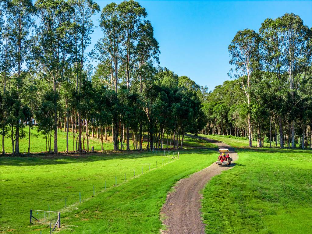 730 Lismore Road, Nashua NSW 2479