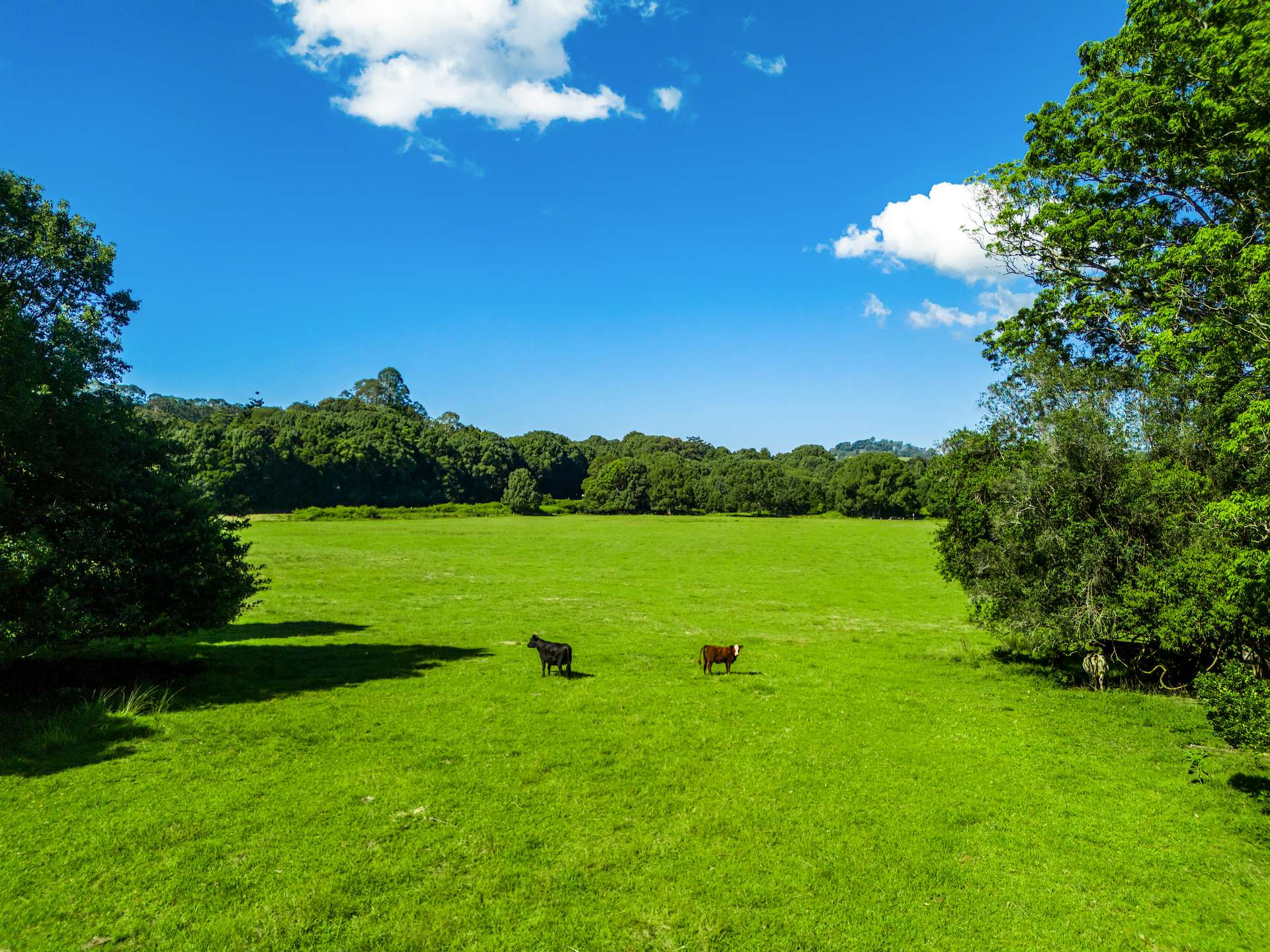 730 Lismore Road, Nashua For Sale by Farmbuy.com - image 4